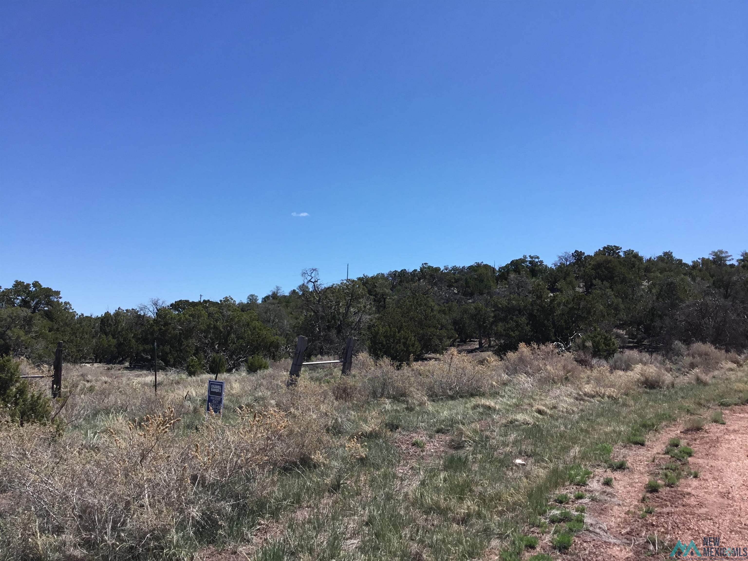 TBD Palomino Loop, Jamestown, New Mexico image 49