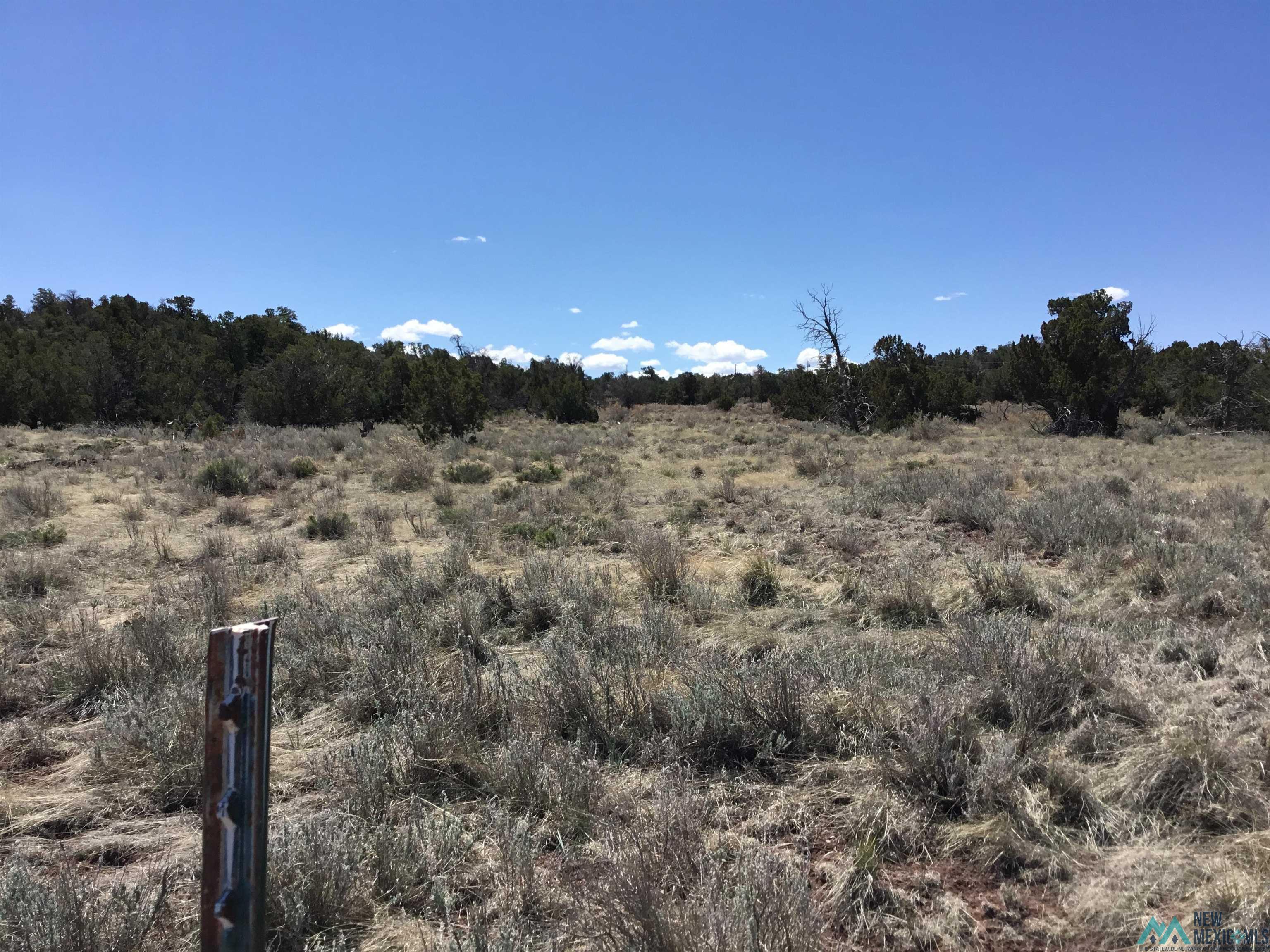 TBD Palomino Loop, Jamestown, New Mexico image 7