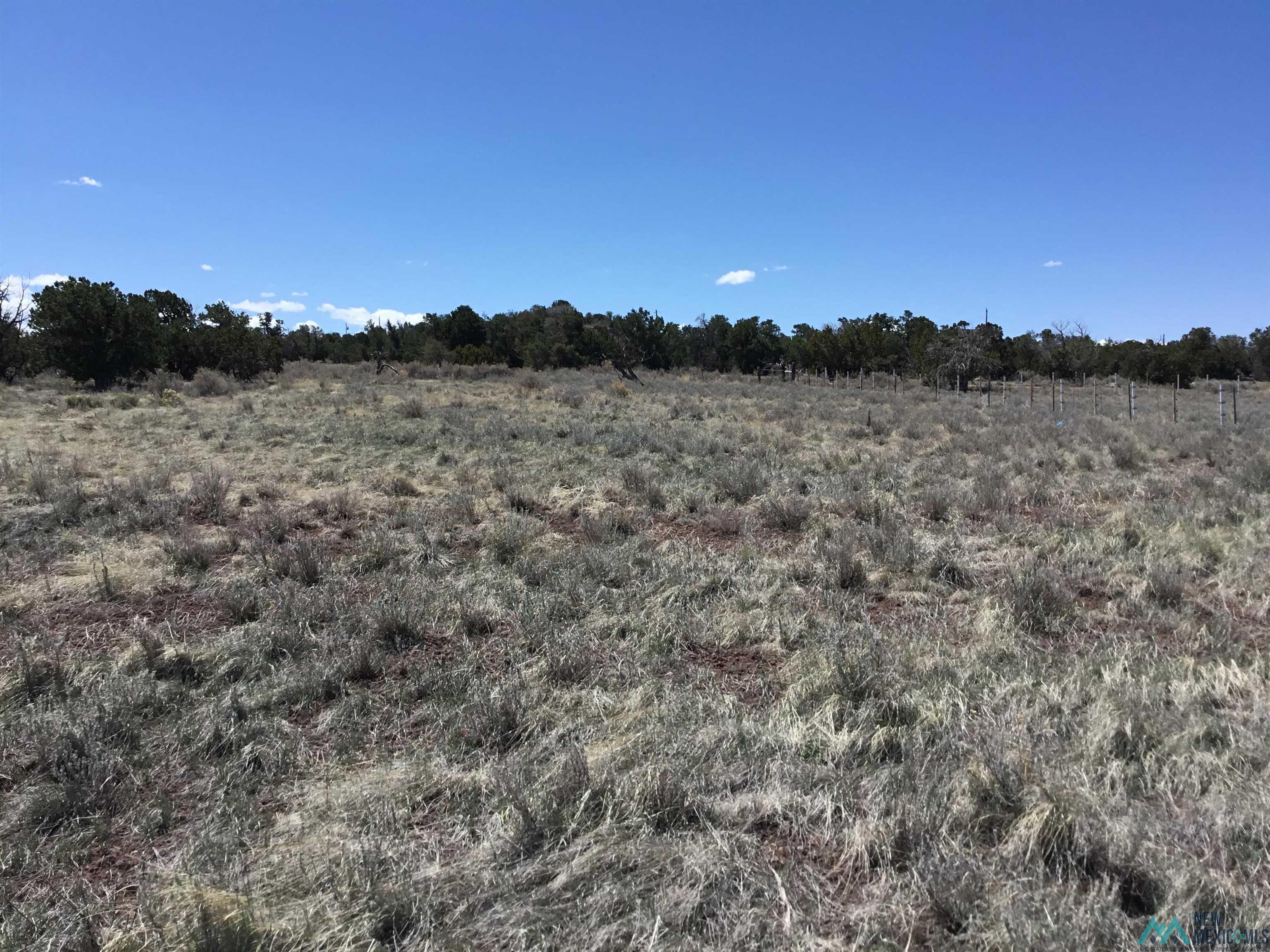 TBD Palomino Loop, Jamestown, New Mexico image 23