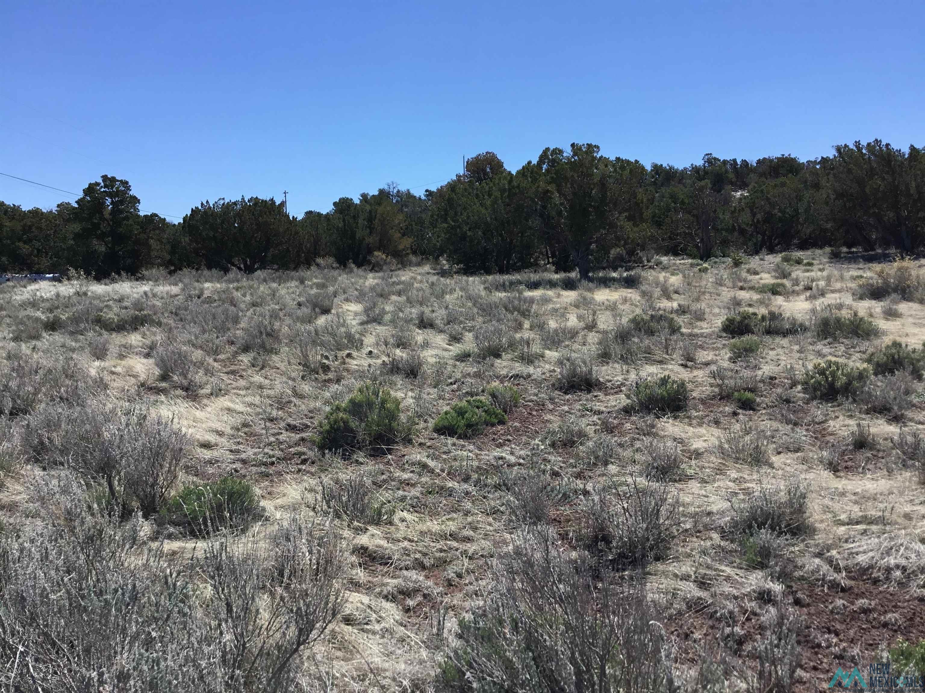 TBD Palomino Loop, Jamestown, New Mexico image 6