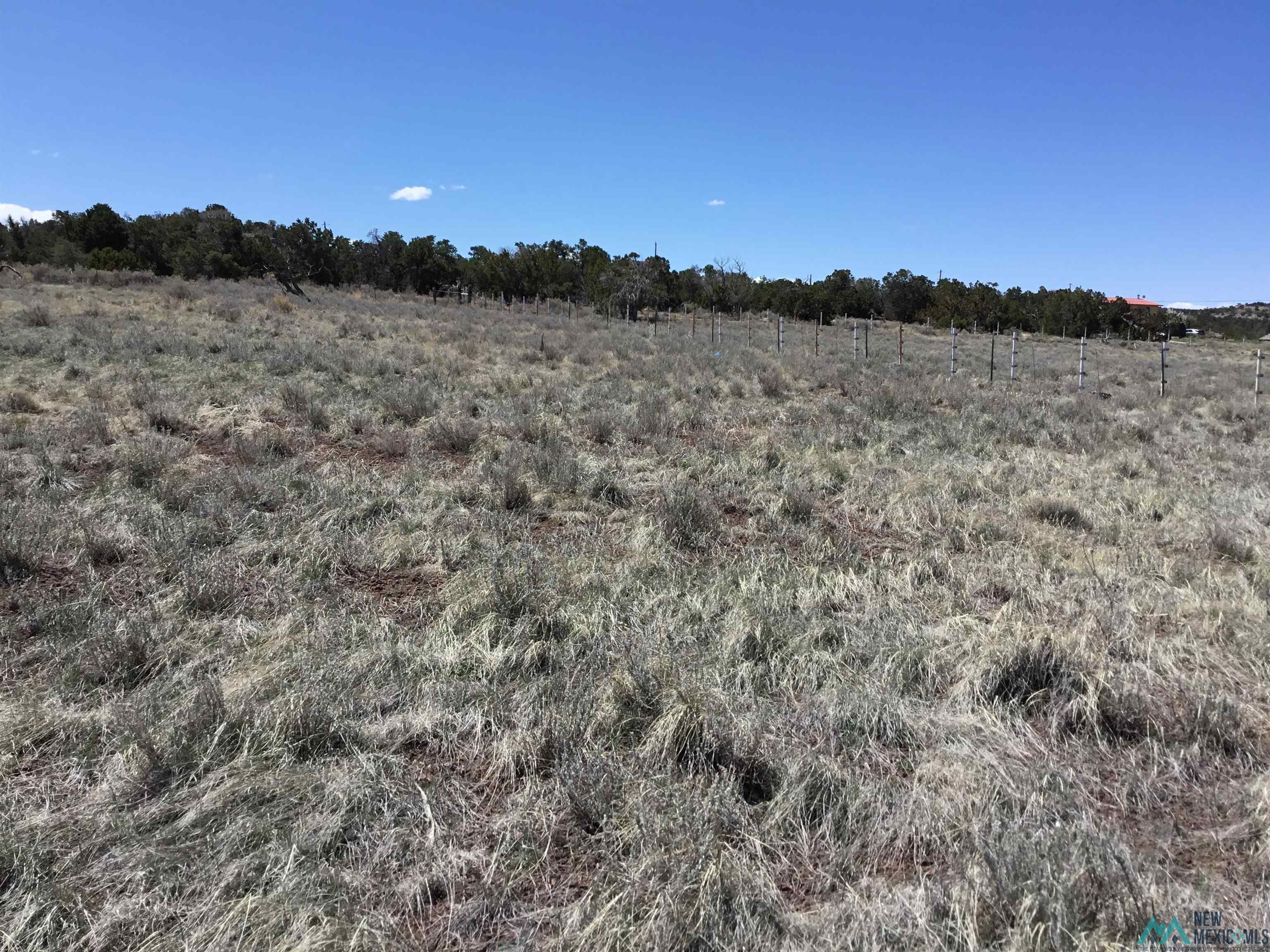 TBD Palomino Loop, Jamestown, New Mexico image 21