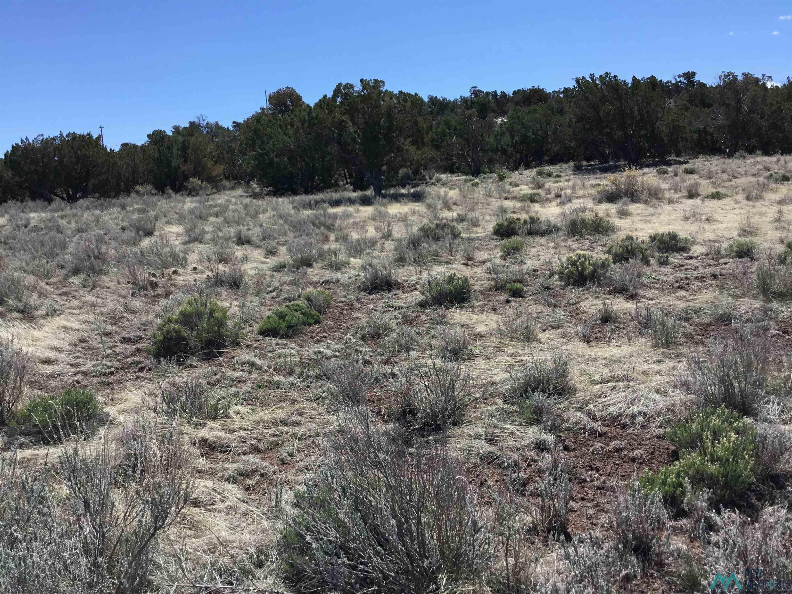 TBD Palomino Loop, Jamestown, New Mexico image 5