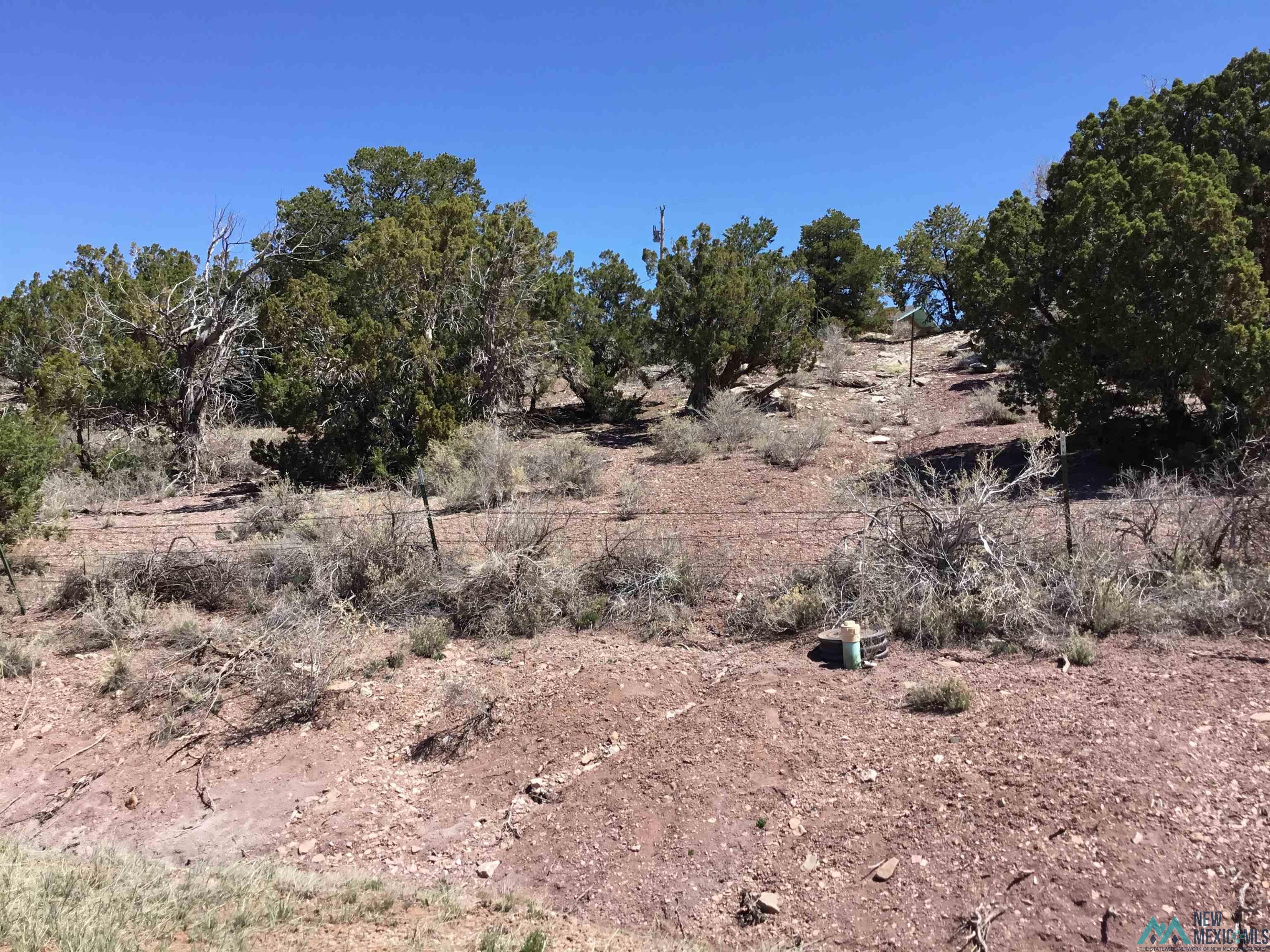 TBD Palomino Loop, Jamestown, New Mexico image 38