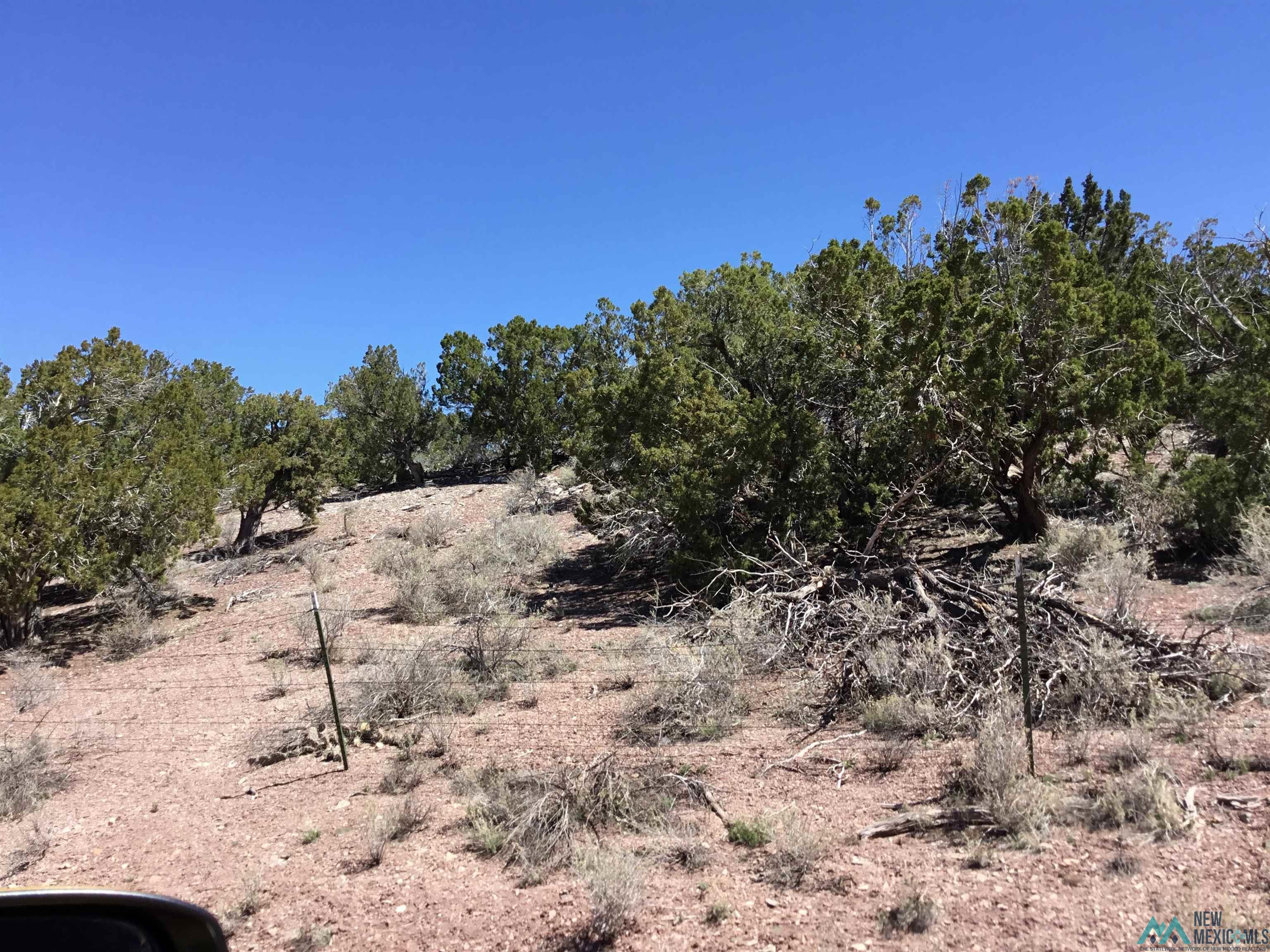 TBD Palomino Loop, Jamestown, New Mexico image 40