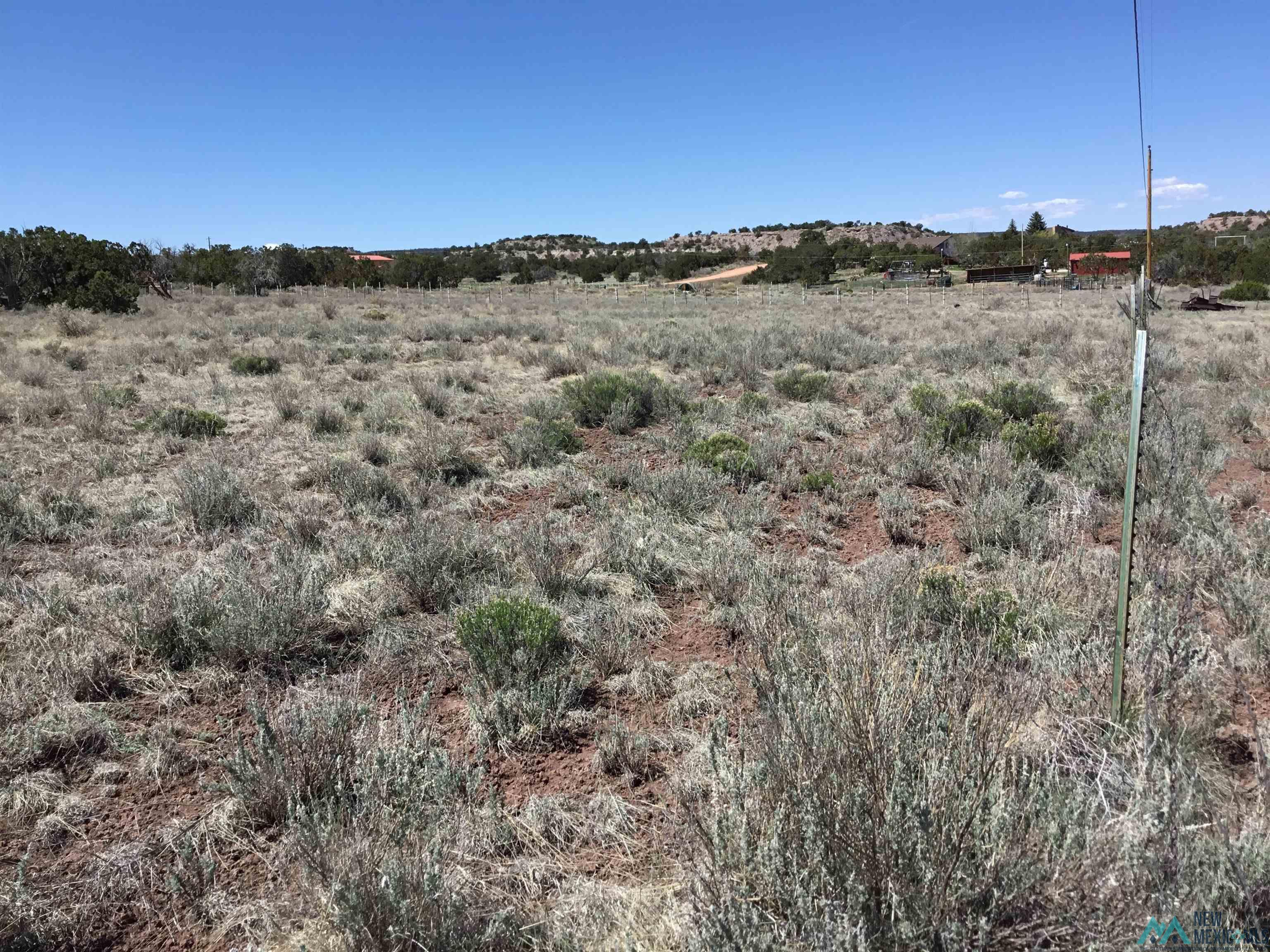 TBD Palomino Loop, Jamestown, New Mexico image 1