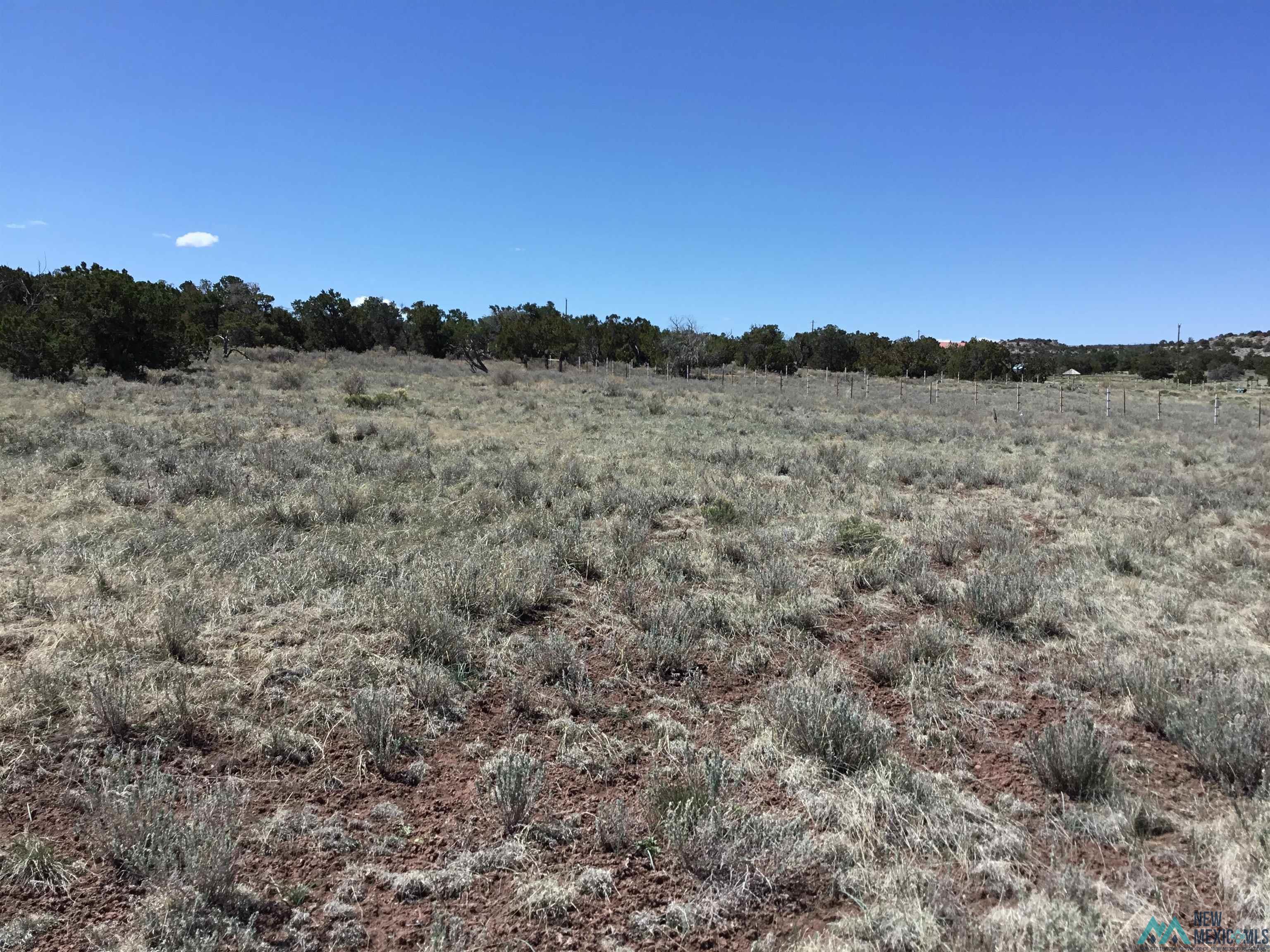 TBD Palomino Loop, Jamestown, New Mexico image 10