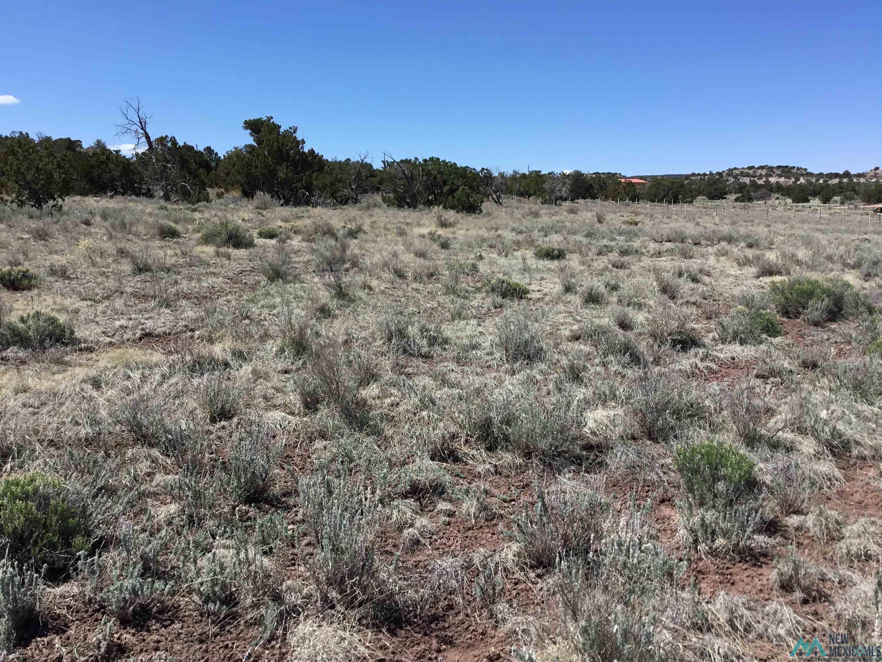 TBD Palomino Loop, Jamestown, New Mexico image 2