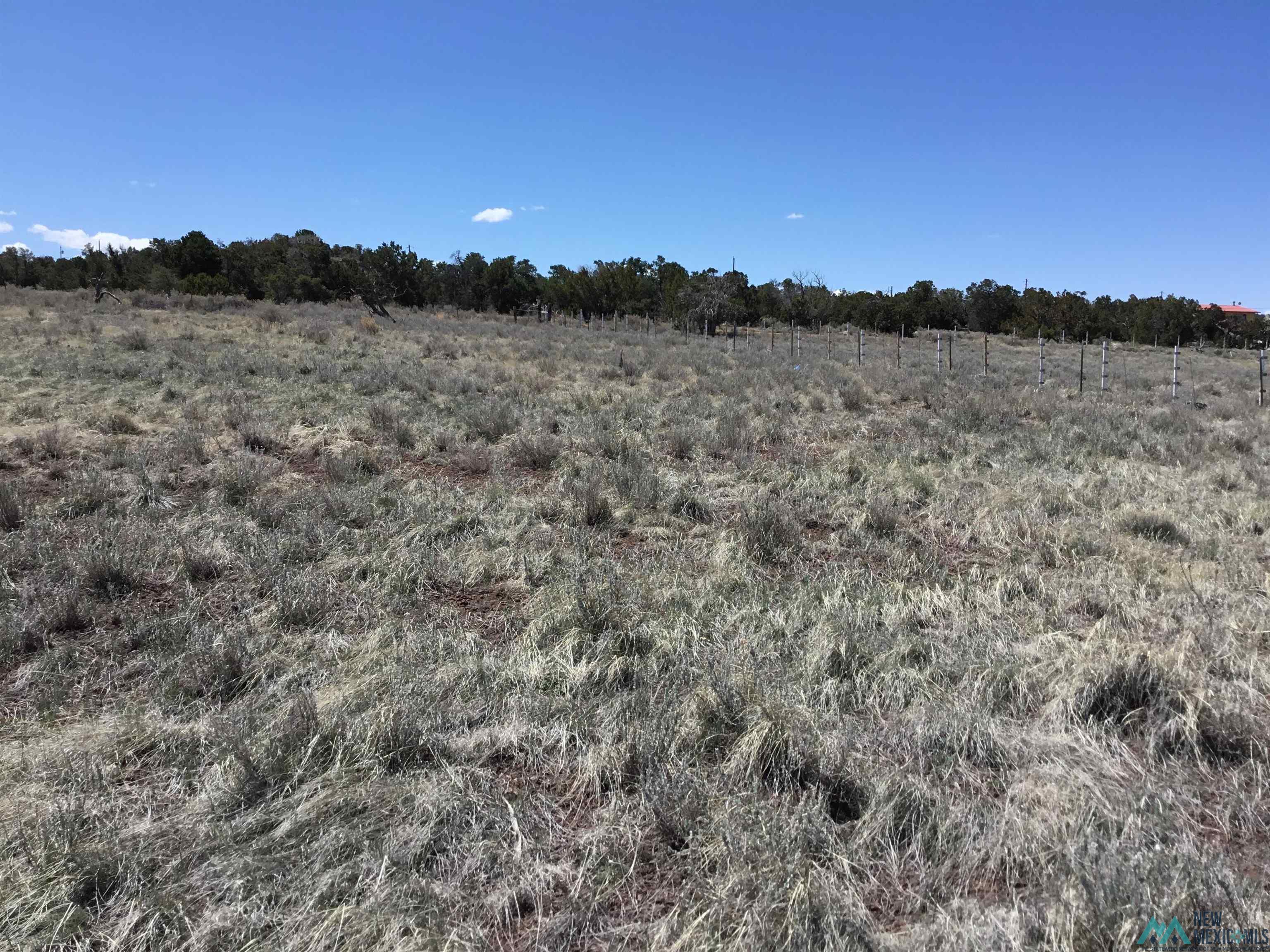 TBD Palomino Loop, Jamestown, New Mexico image 20