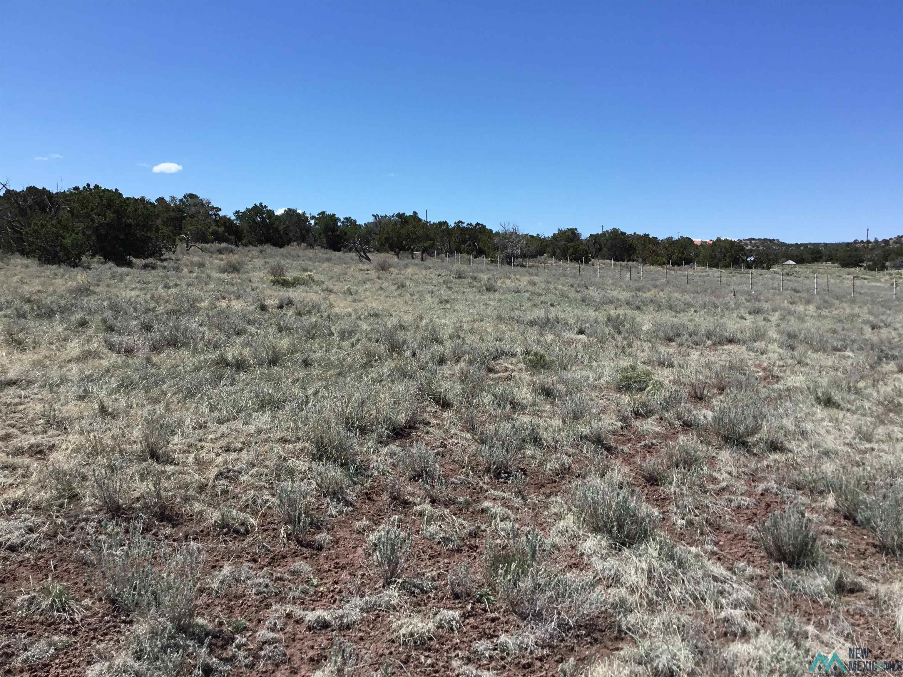 TBD Palomino Loop, Jamestown, New Mexico image 8