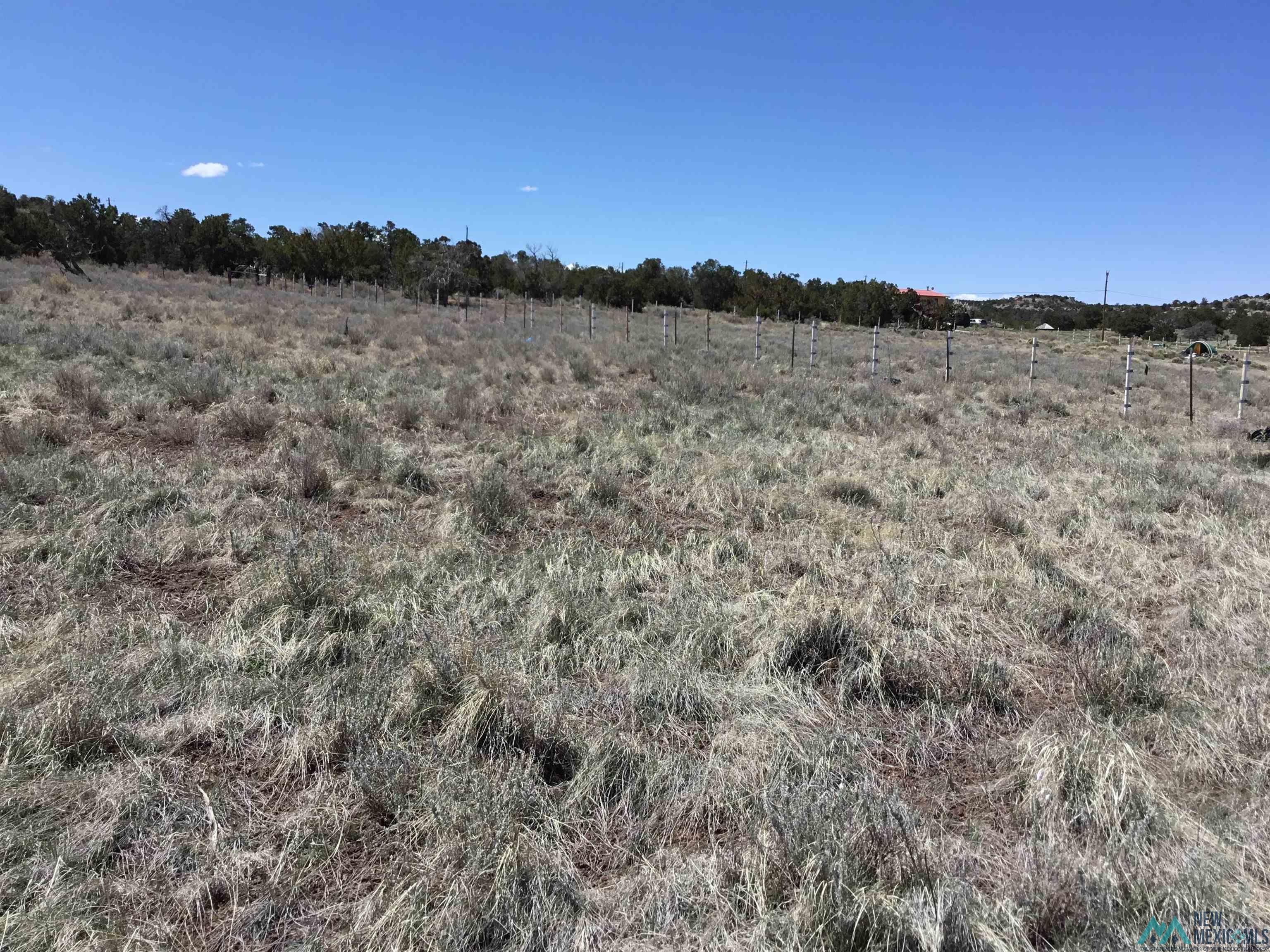 TBD Palomino Loop, Jamestown, New Mexico image 19