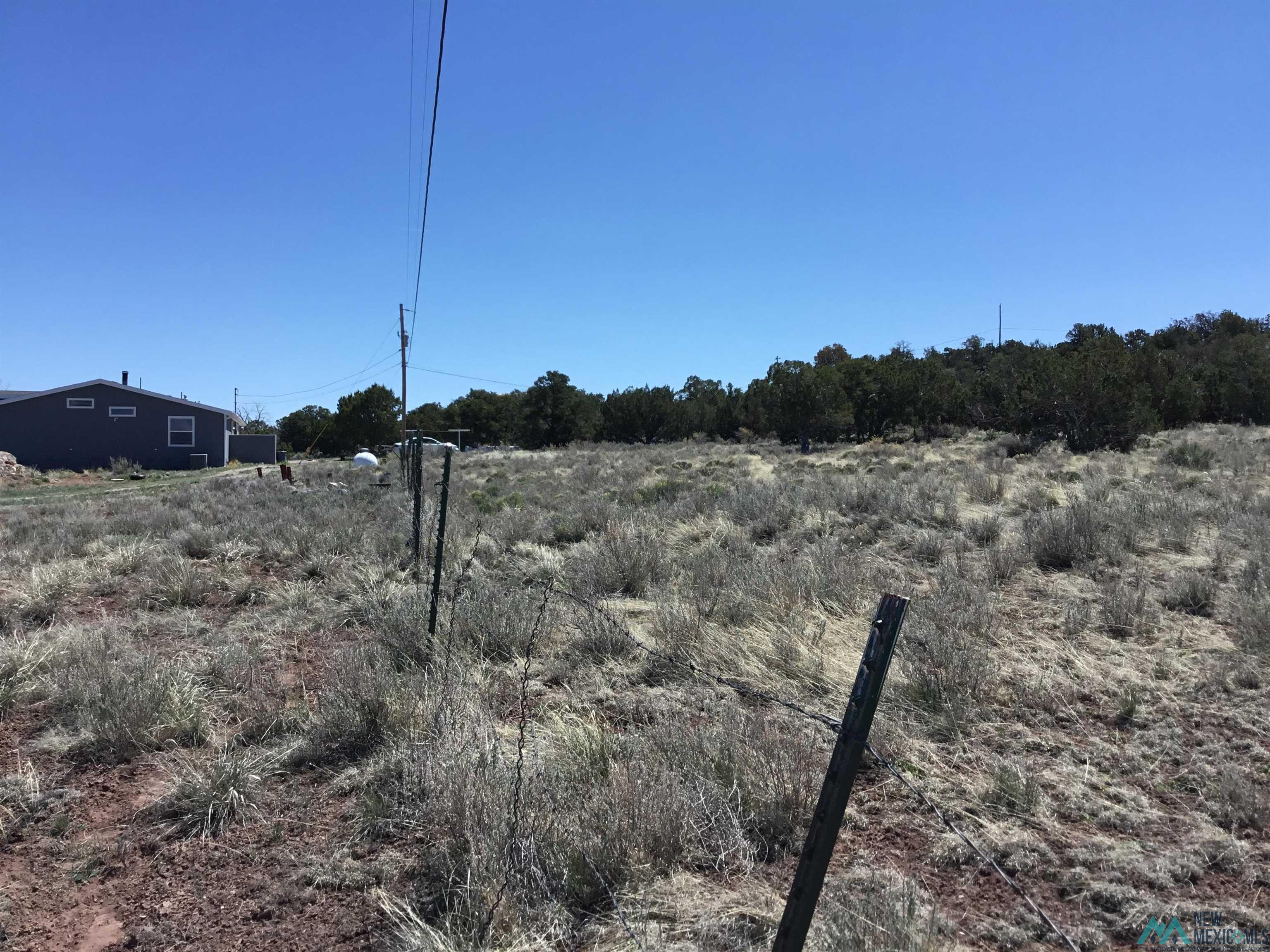 TBD Palomino Loop, Jamestown, New Mexico image 16