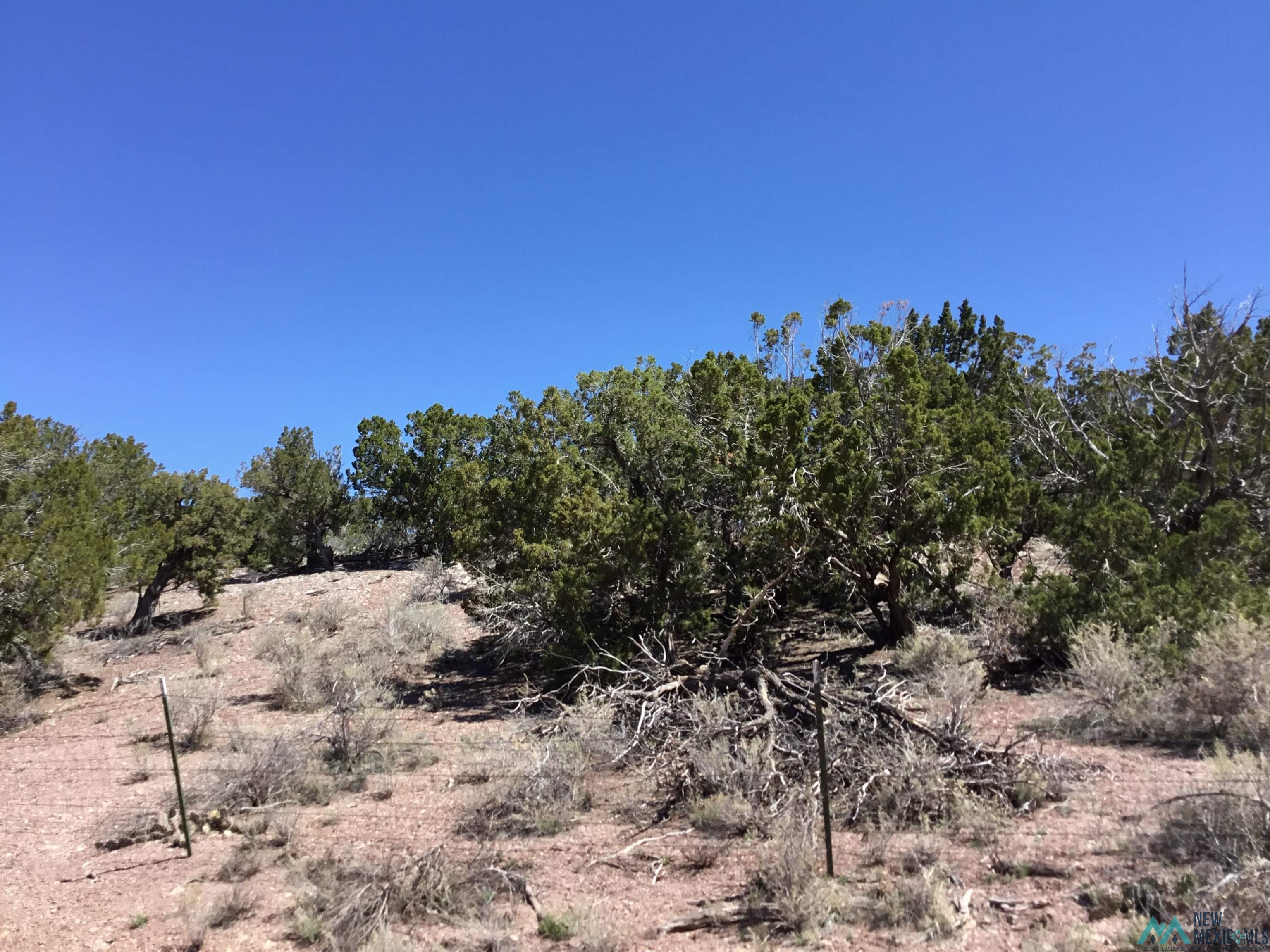 TBD Palomino Loop, Jamestown, New Mexico image 41