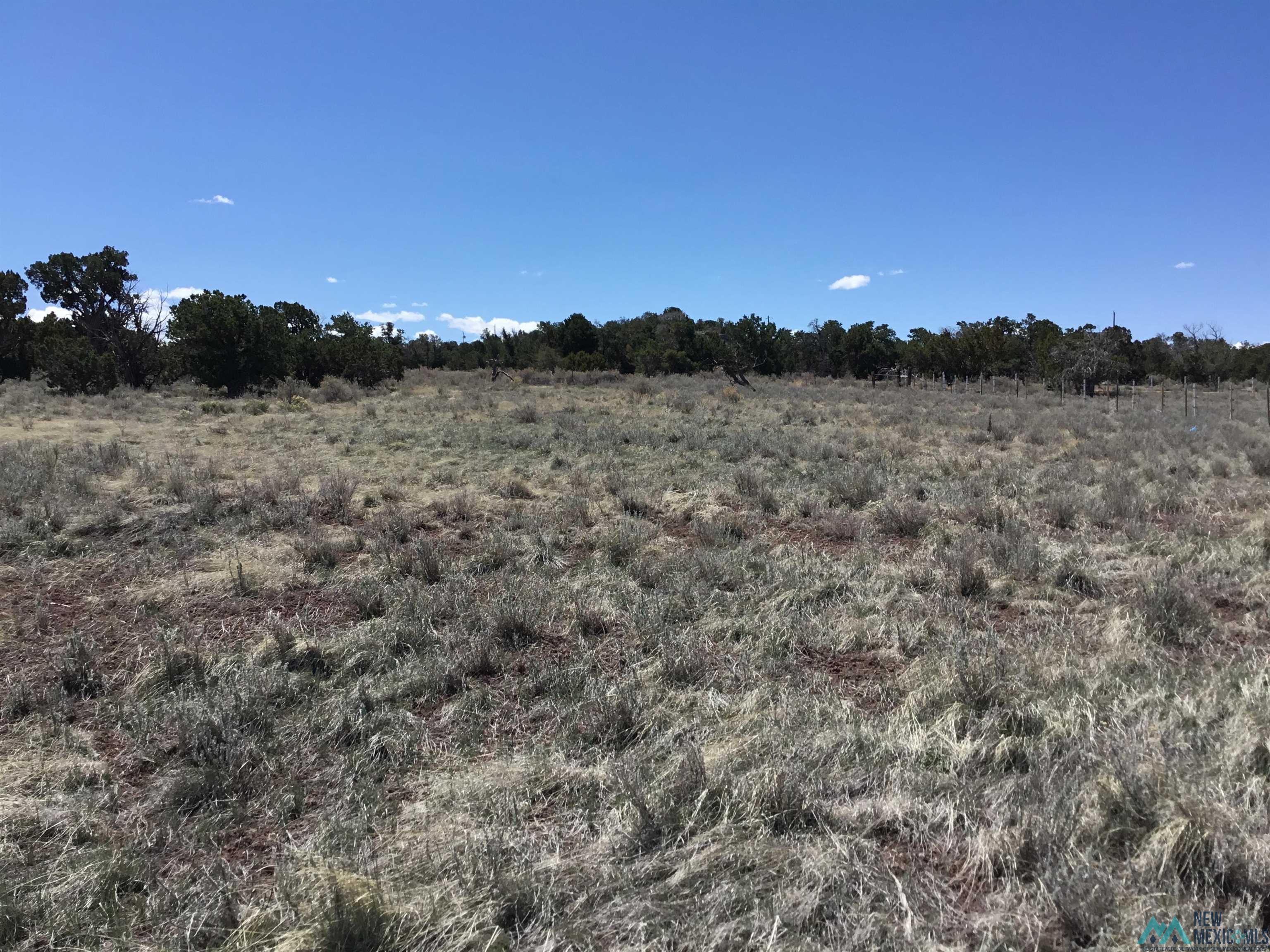 TBD Palomino Loop, Jamestown, New Mexico image 22