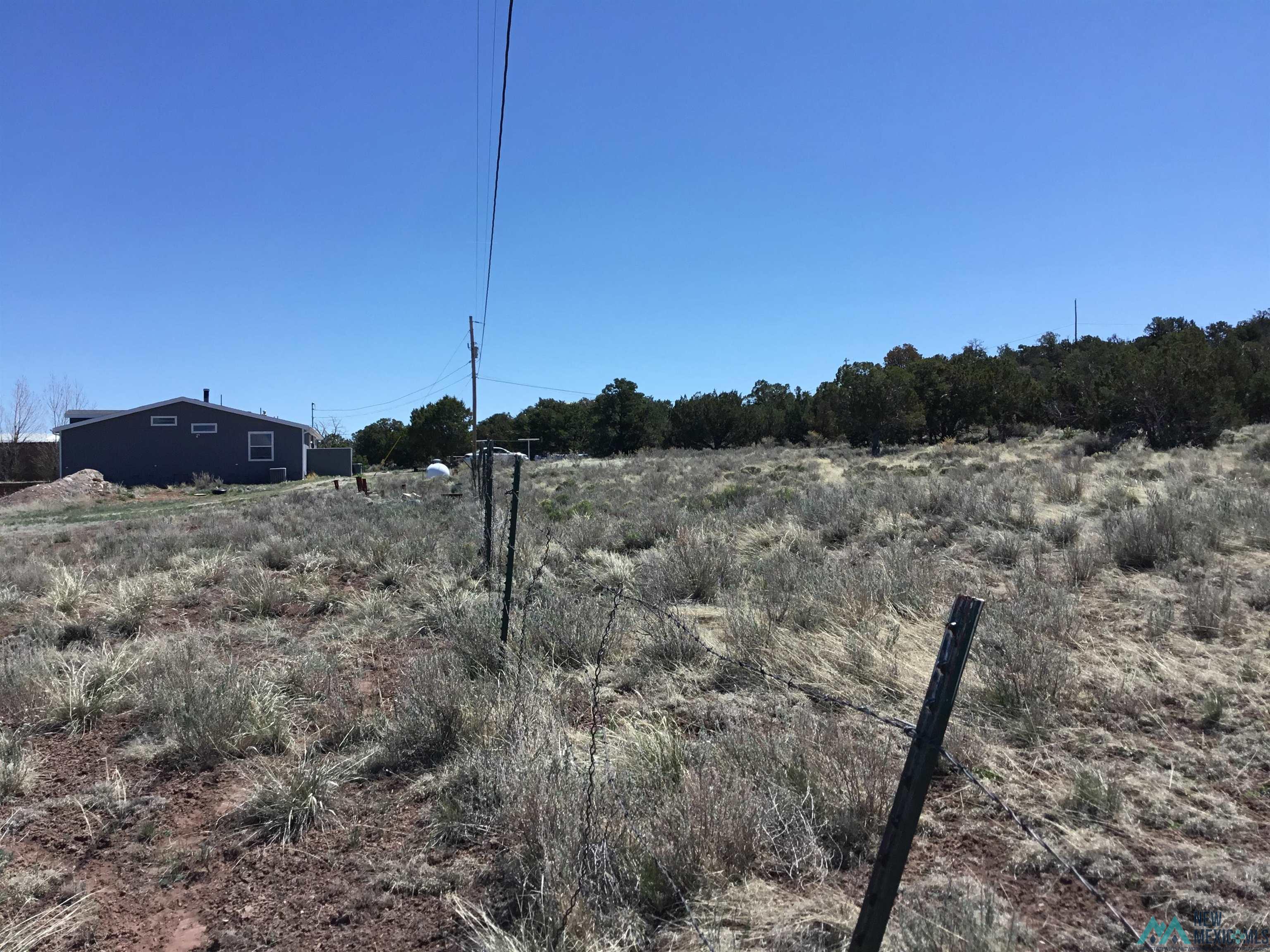 TBD Palomino Loop, Jamestown, New Mexico image 17