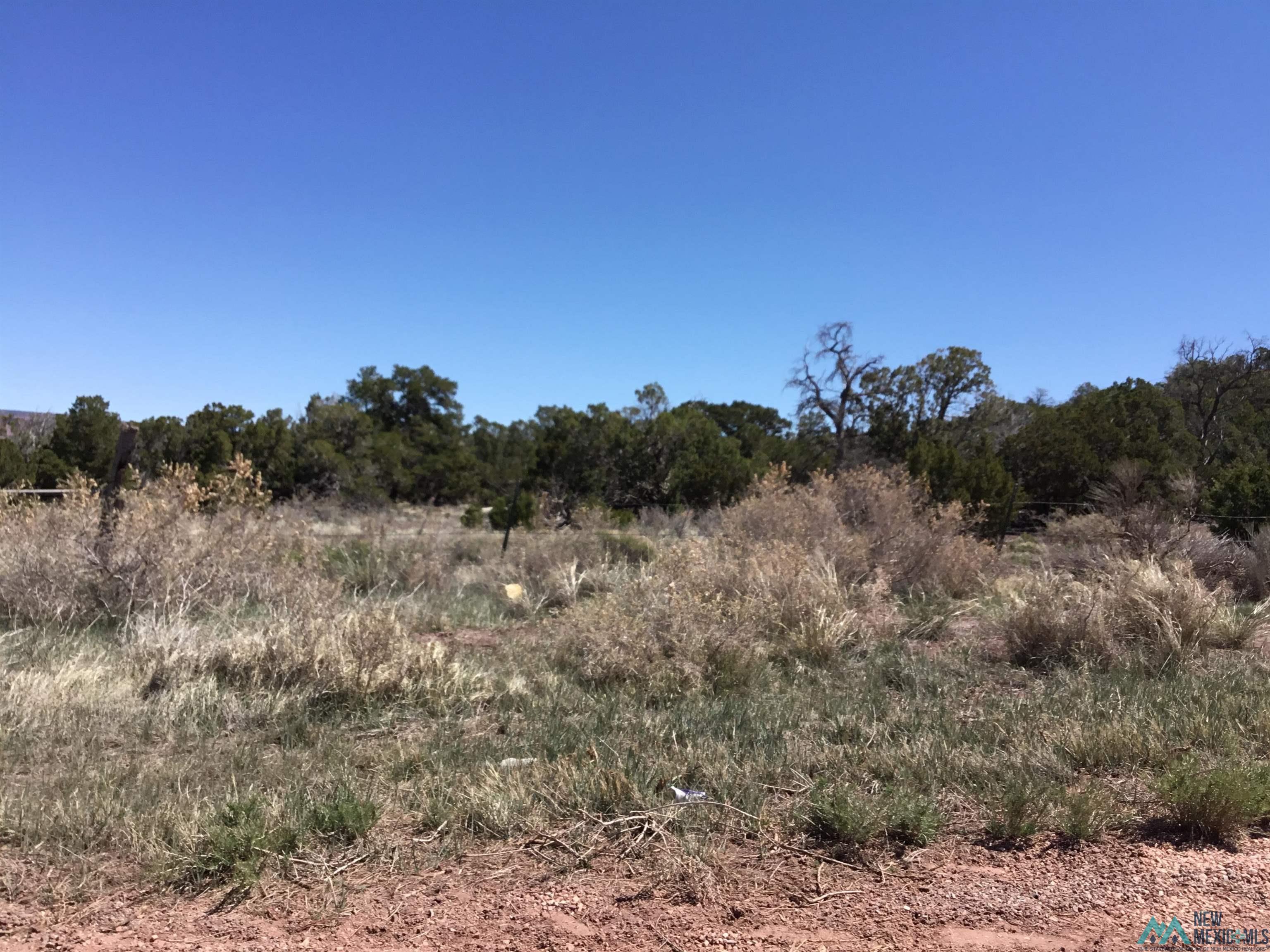 TBD Palomino Loop, Jamestown, New Mexico image 34