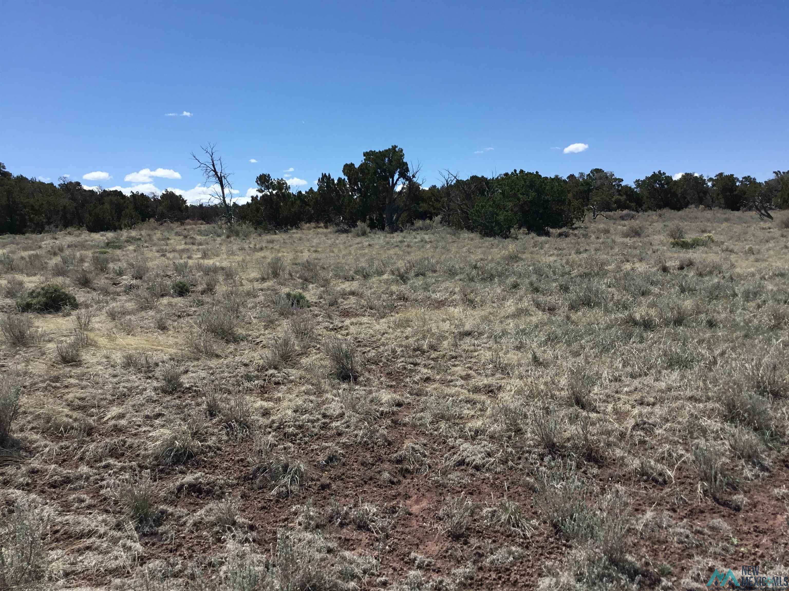 TBD Palomino Loop, Jamestown, New Mexico image 11