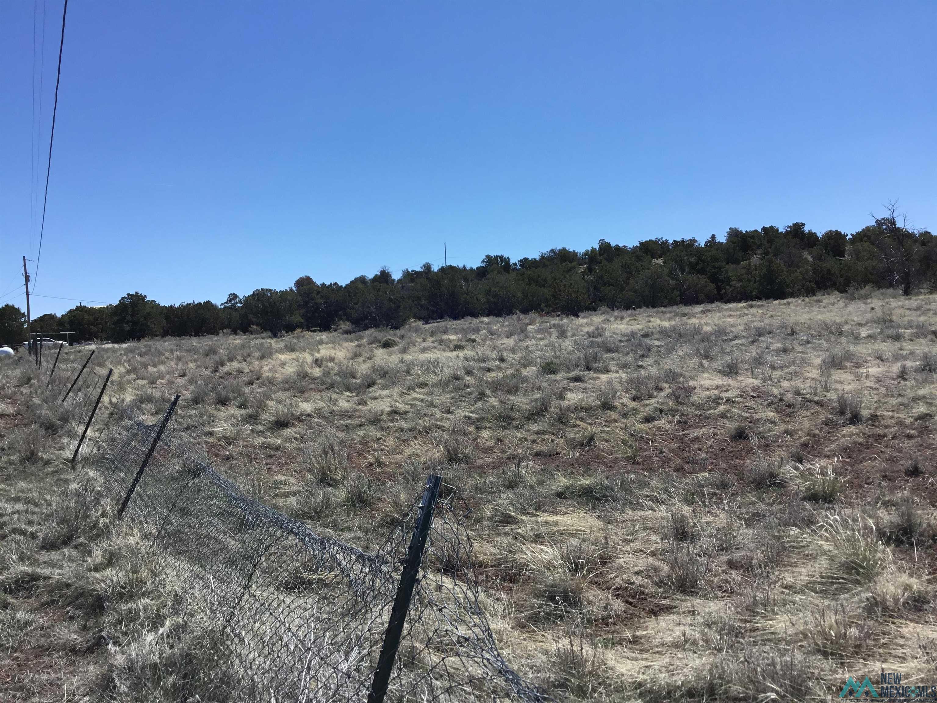 TBD Palomino Loop, Jamestown, New Mexico image 29