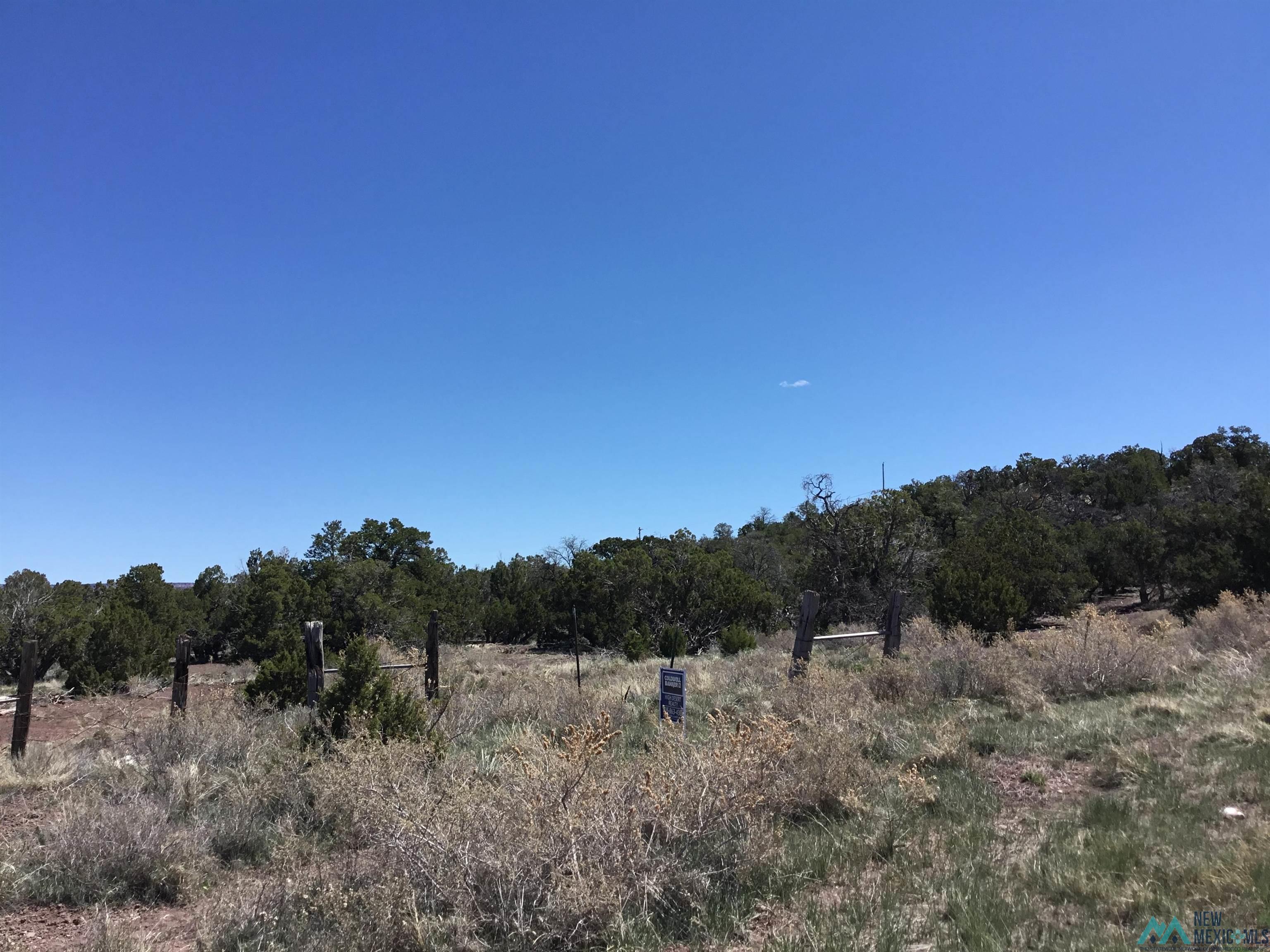 TBD Palomino Loop, Jamestown, New Mexico image 48