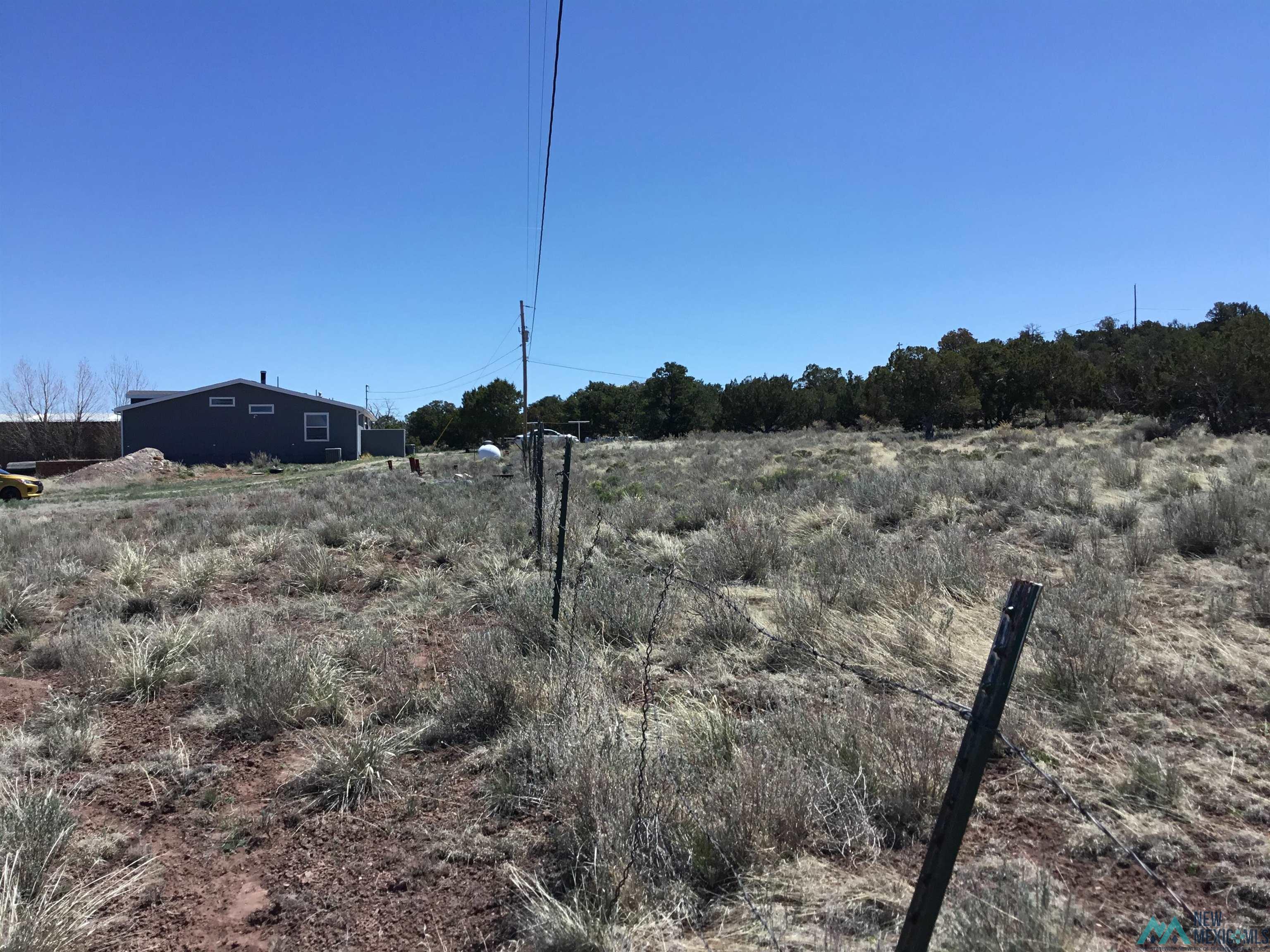 TBD Palomino Loop, Jamestown, New Mexico image 15