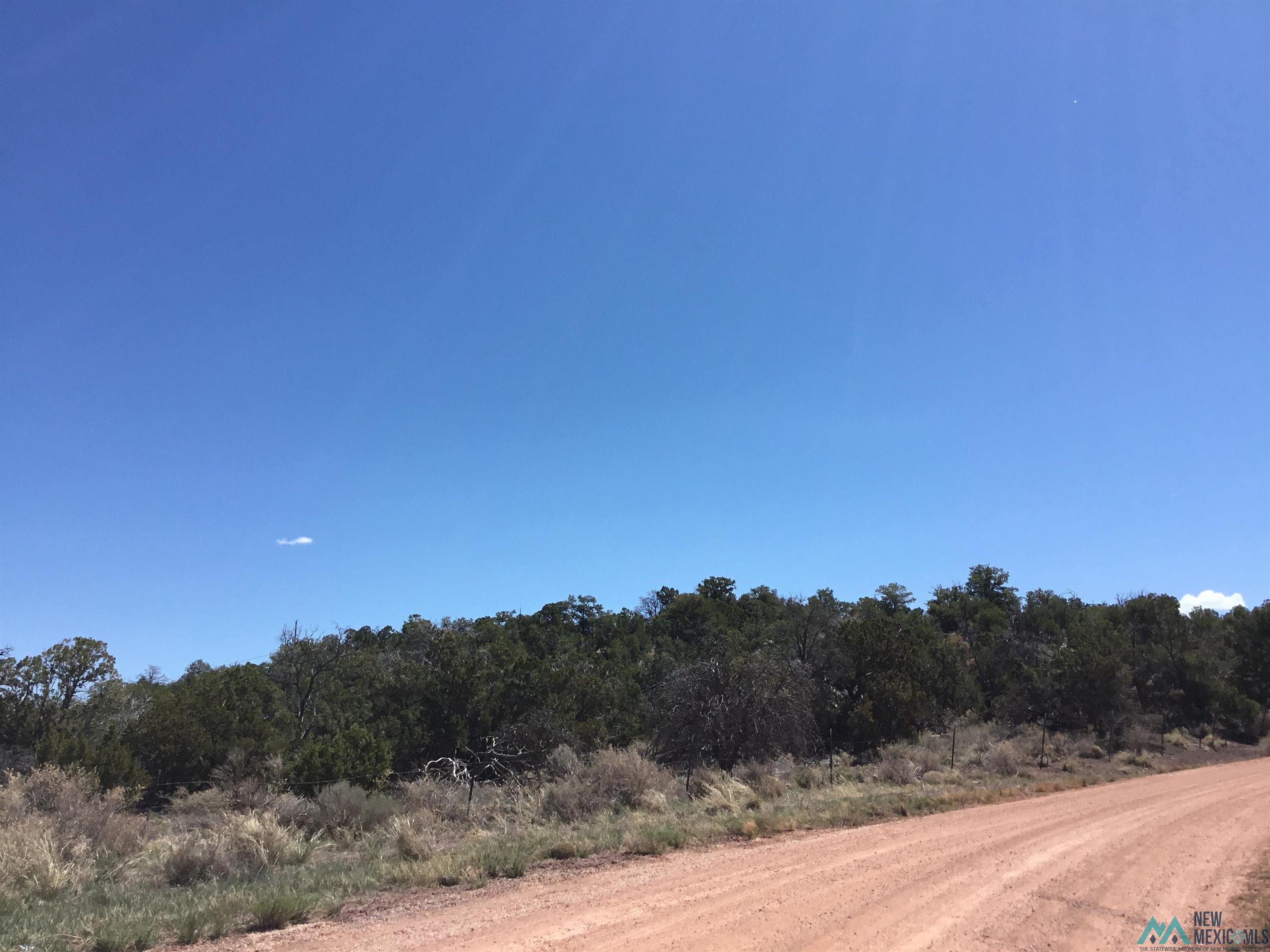 TBD Palomino Loop, Jamestown, New Mexico image 50