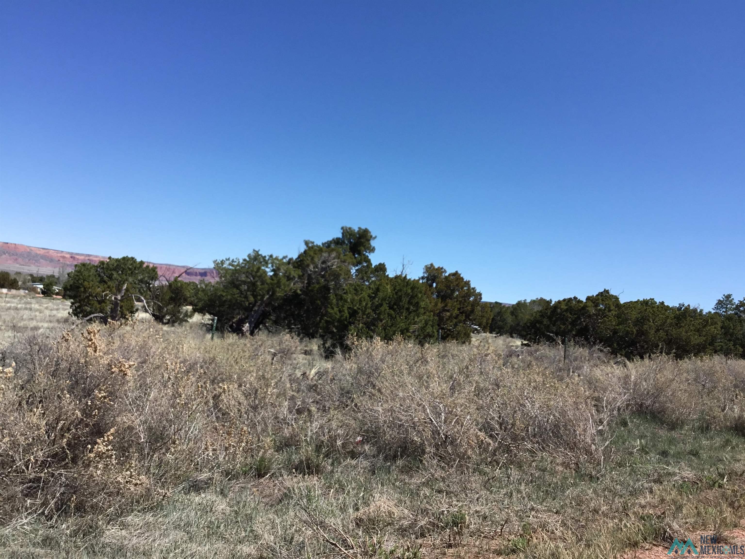 TBD Palomino Loop, Jamestown, New Mexico image 33