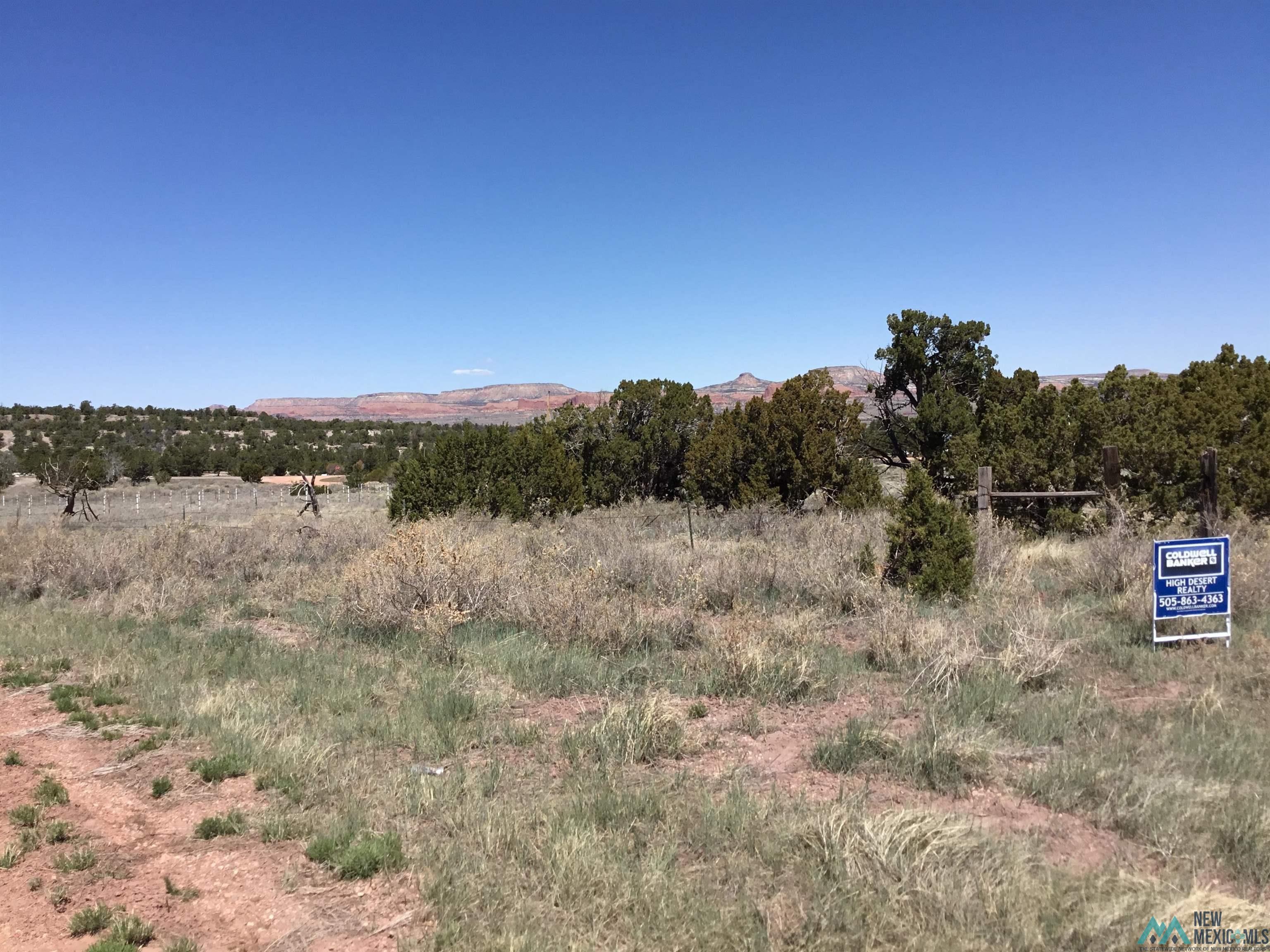 TBD Palomino Loop, Jamestown, New Mexico image 44