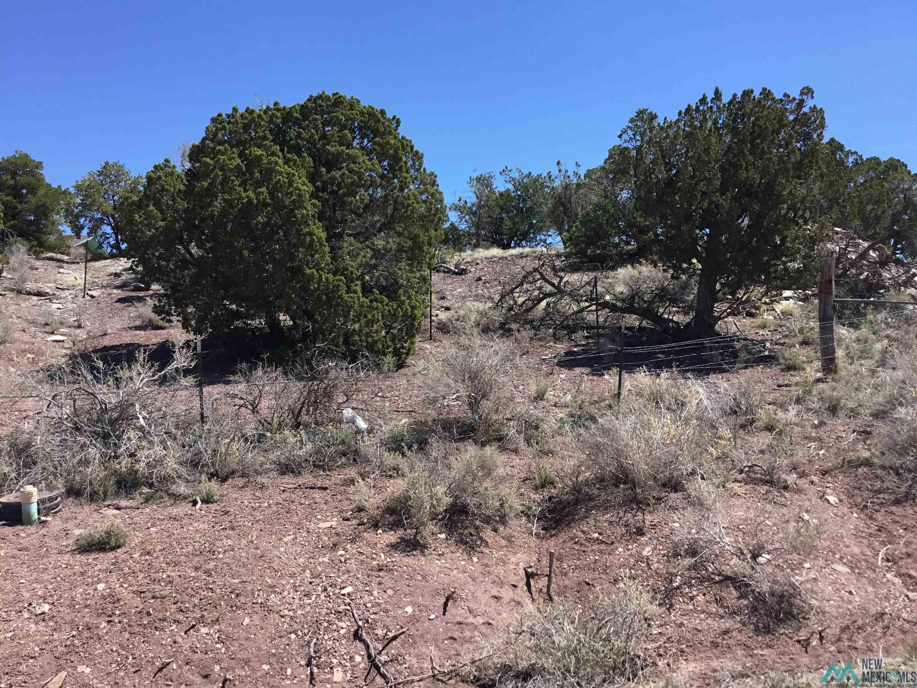 TBD Palomino Loop, Jamestown, New Mexico image 37