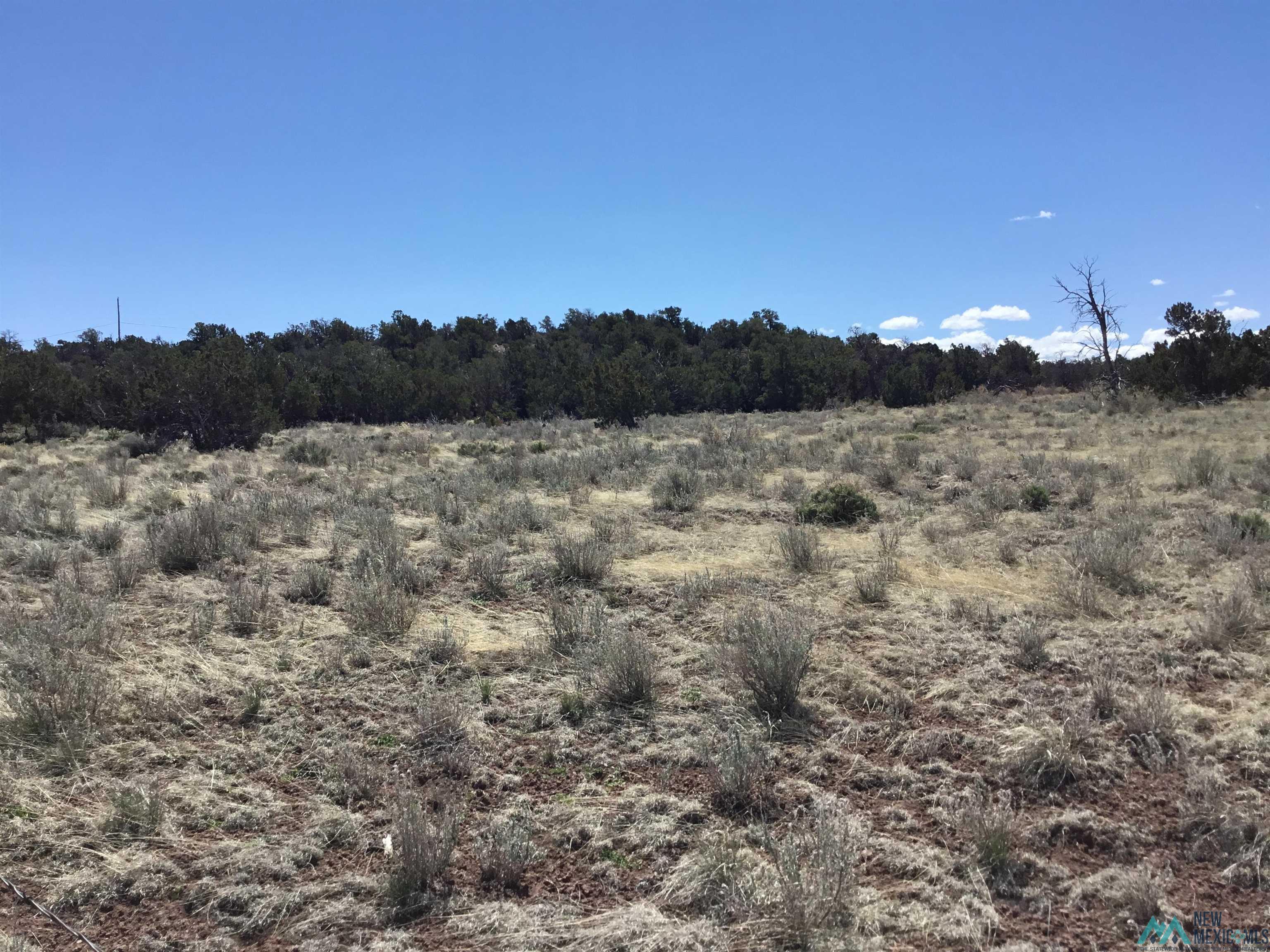 TBD Palomino Loop, Jamestown, New Mexico image 13