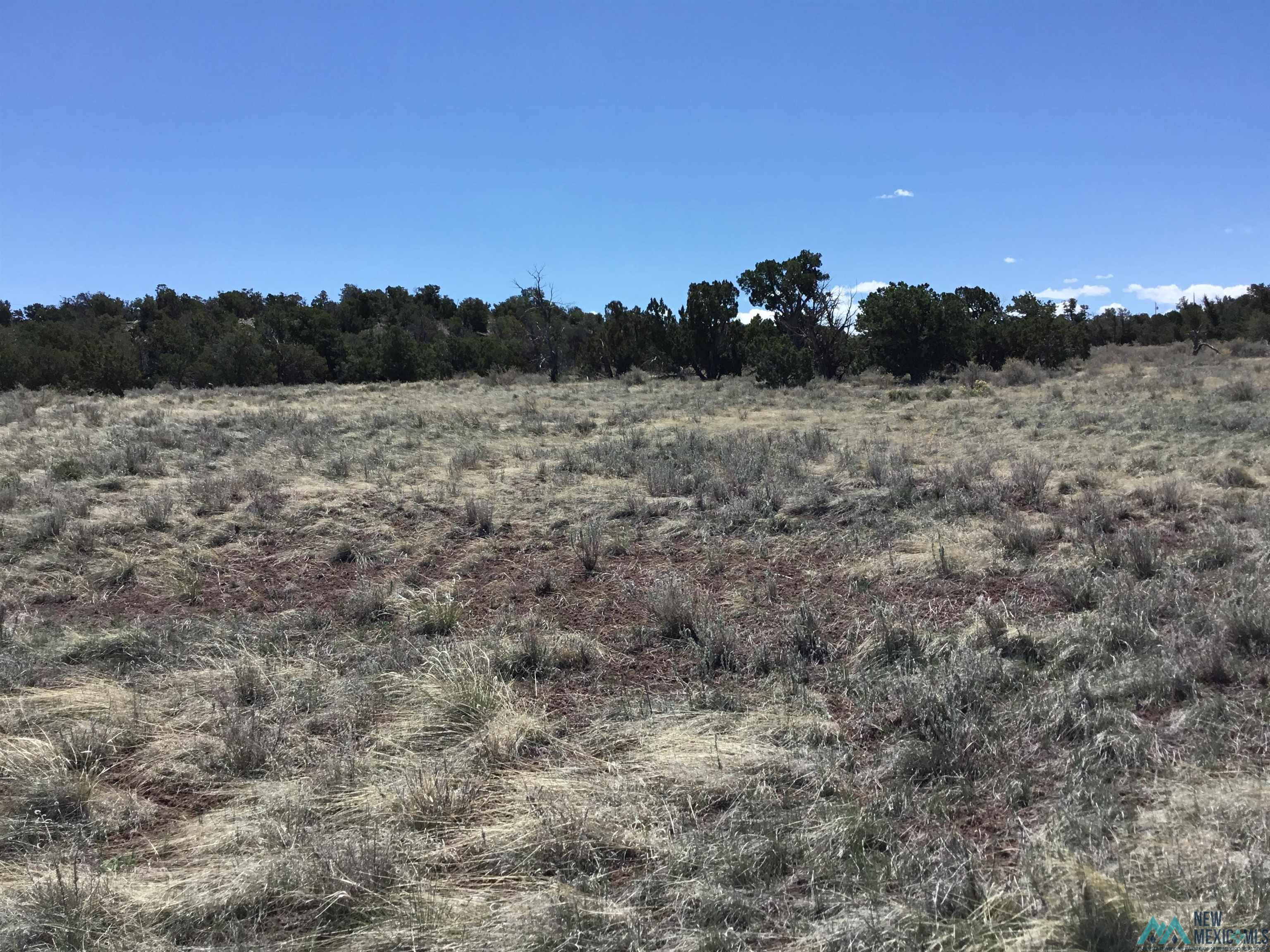 TBD Palomino Loop, Jamestown, New Mexico image 24