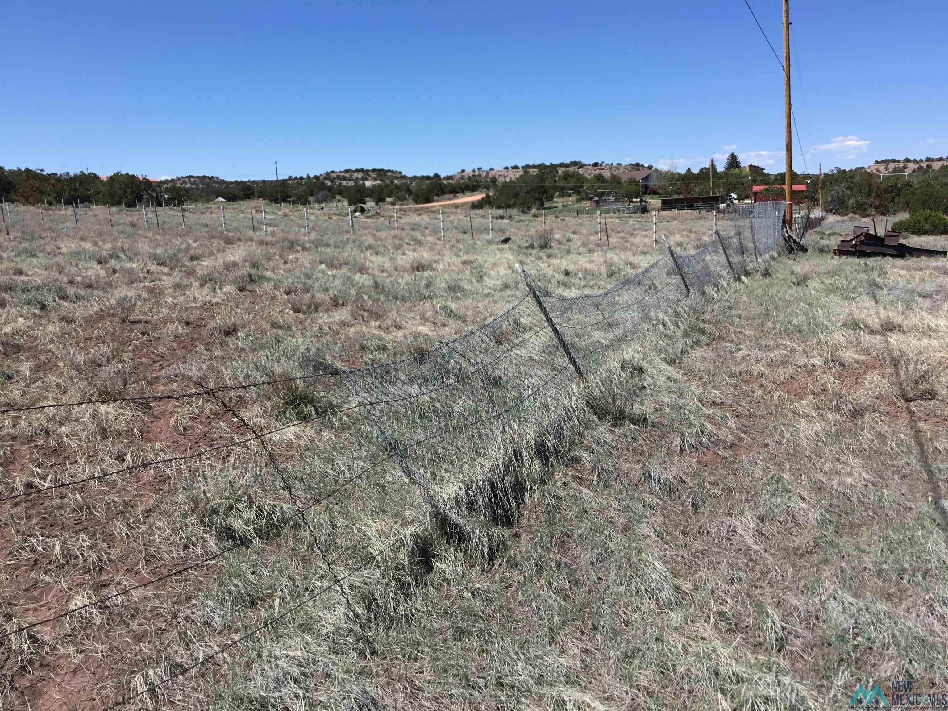 TBD Palomino Loop, Jamestown, New Mexico image 18