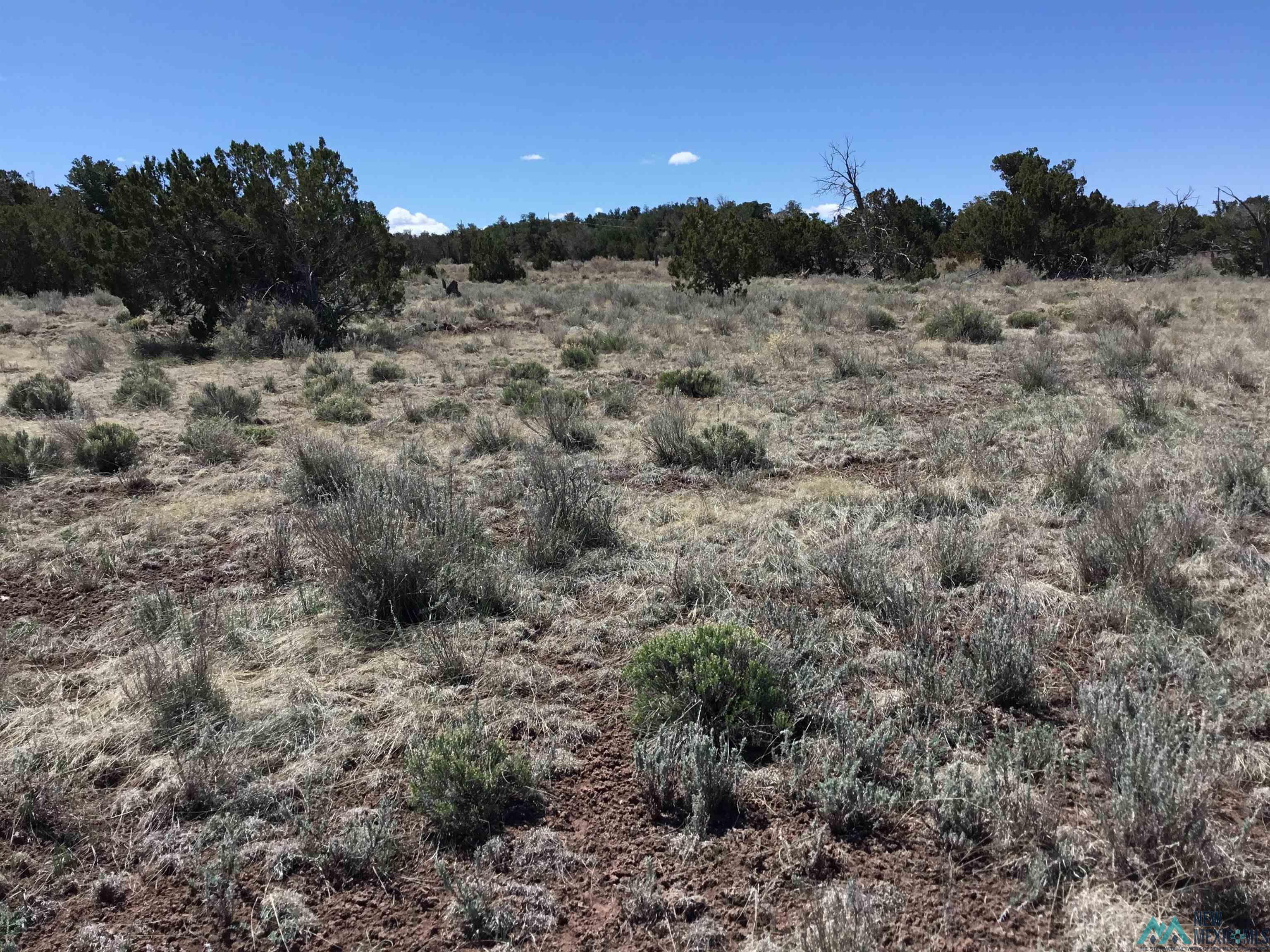 TBD Palomino Loop, Jamestown, New Mexico image 3