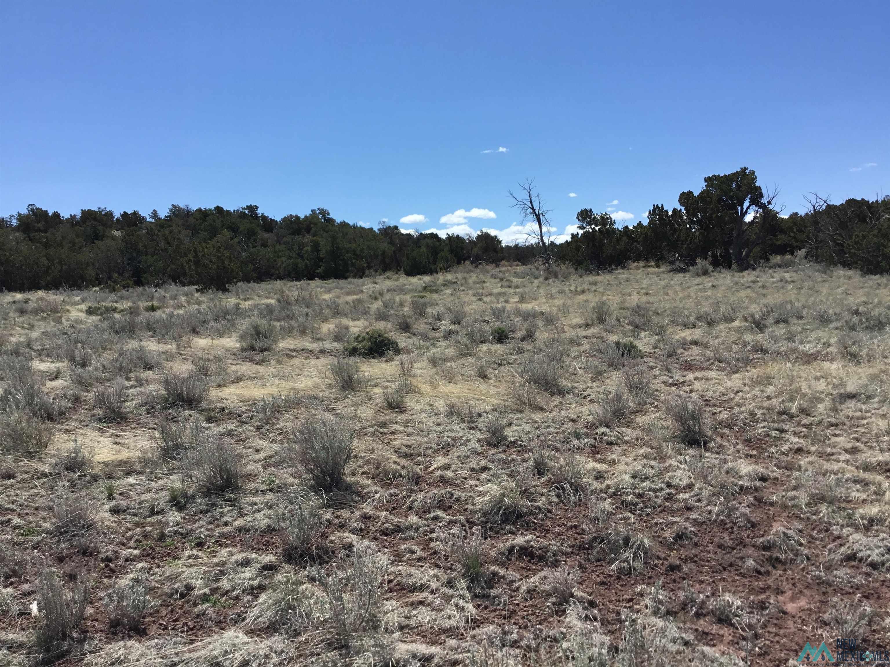 TBD Palomino Loop, Jamestown, New Mexico image 12