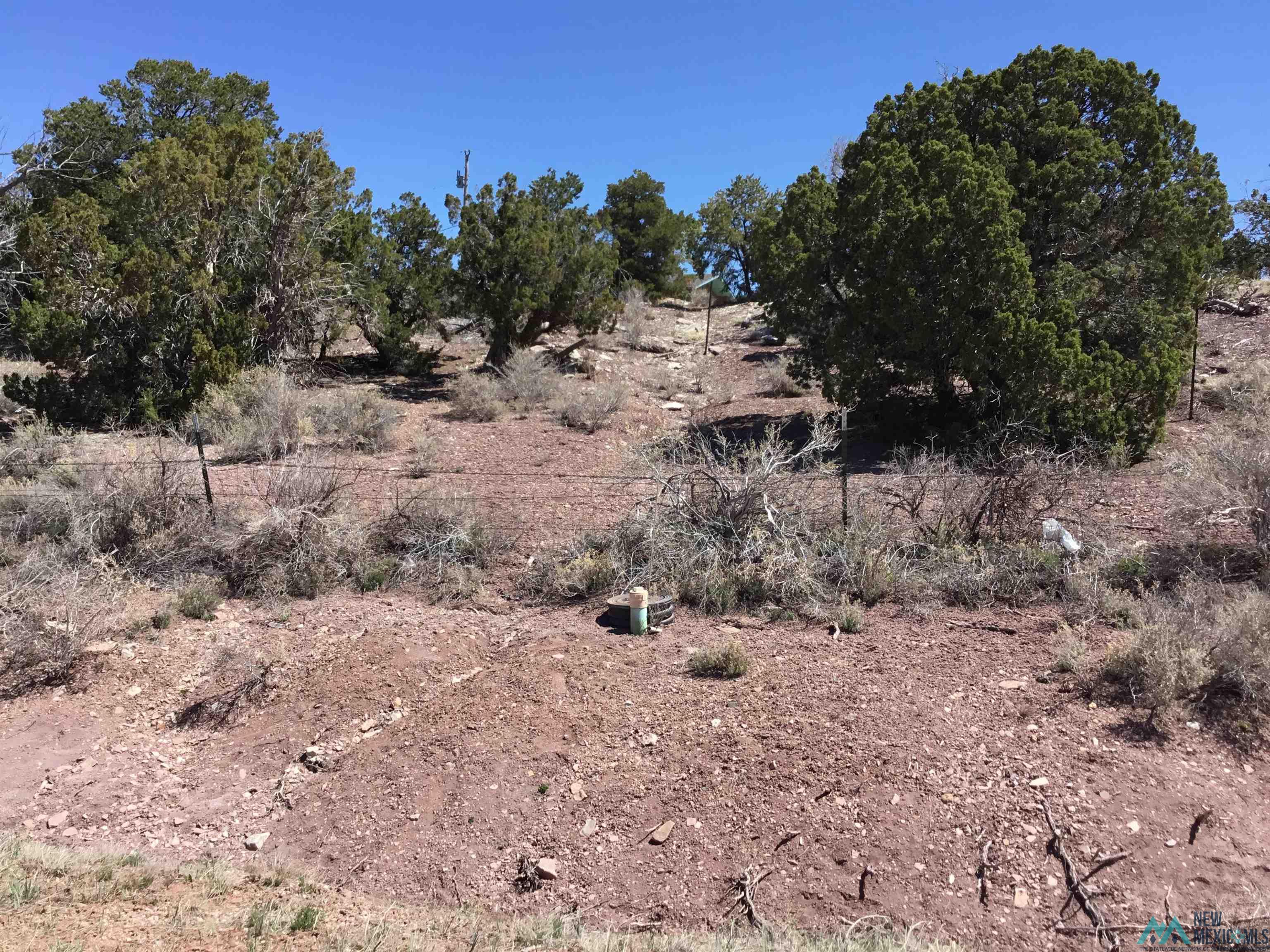 TBD Palomino Loop, Jamestown, New Mexico image 36