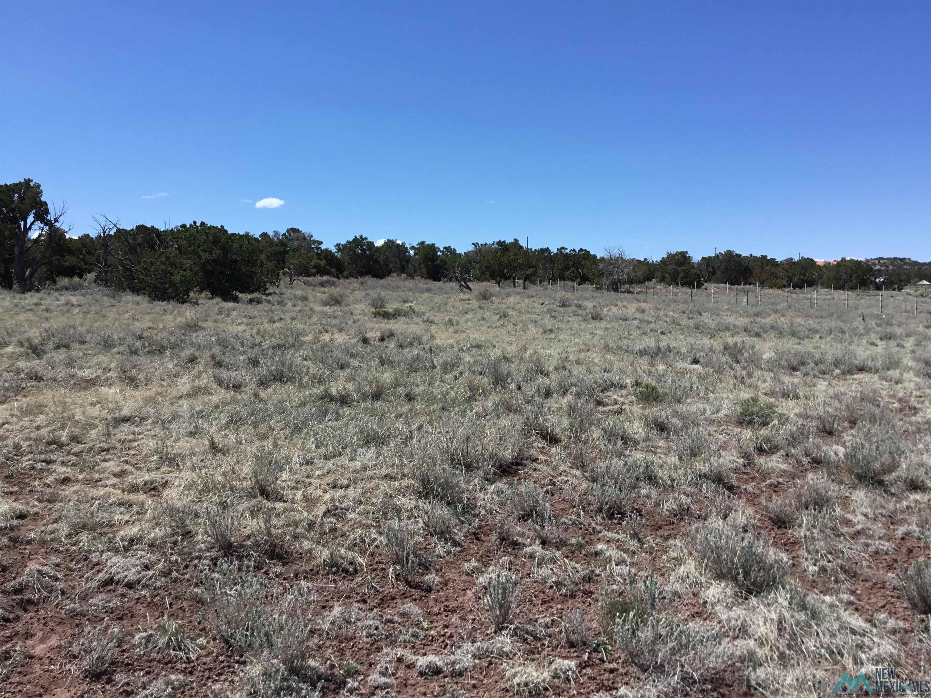 TBD Palomino Loop, Jamestown, New Mexico image 9