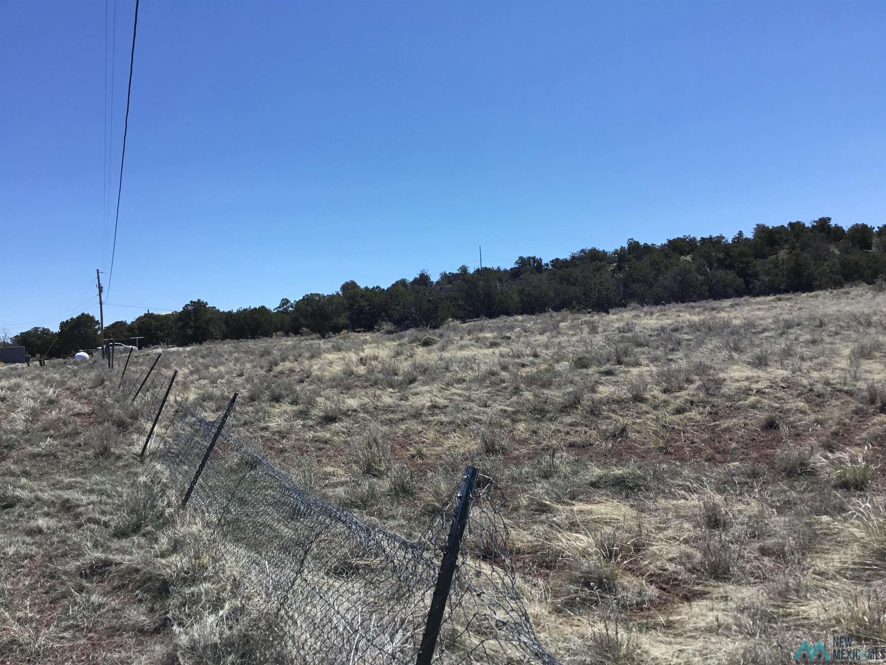 TBD Palomino Loop, Jamestown, New Mexico image 30