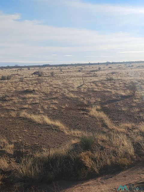 Vacant Land For Sale - XXXX Blazing Trail Se<br/> Luna County, Deming, NM 88030