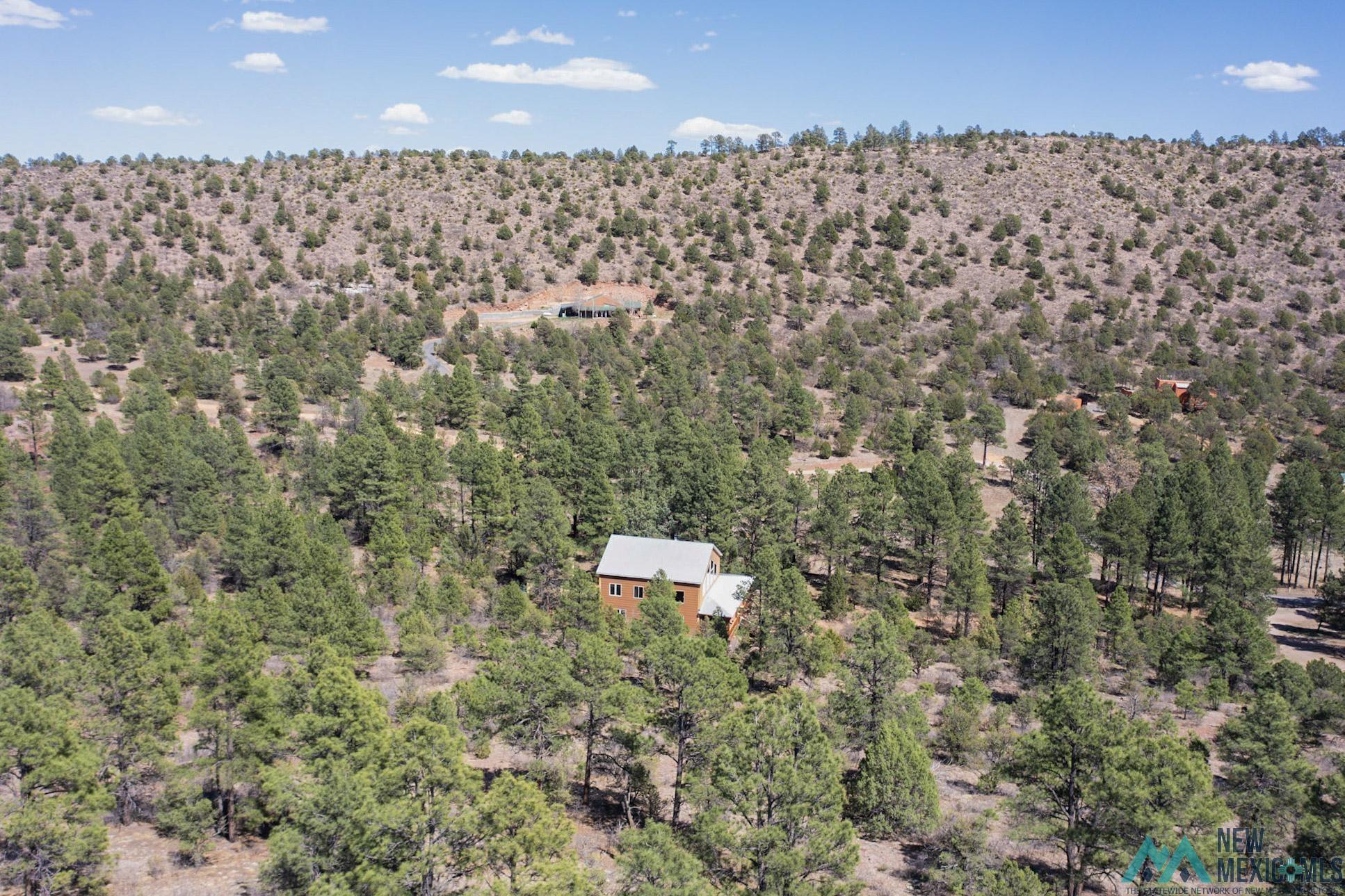 75 Roadrunner Road, Las Vegas, Texas image 43
