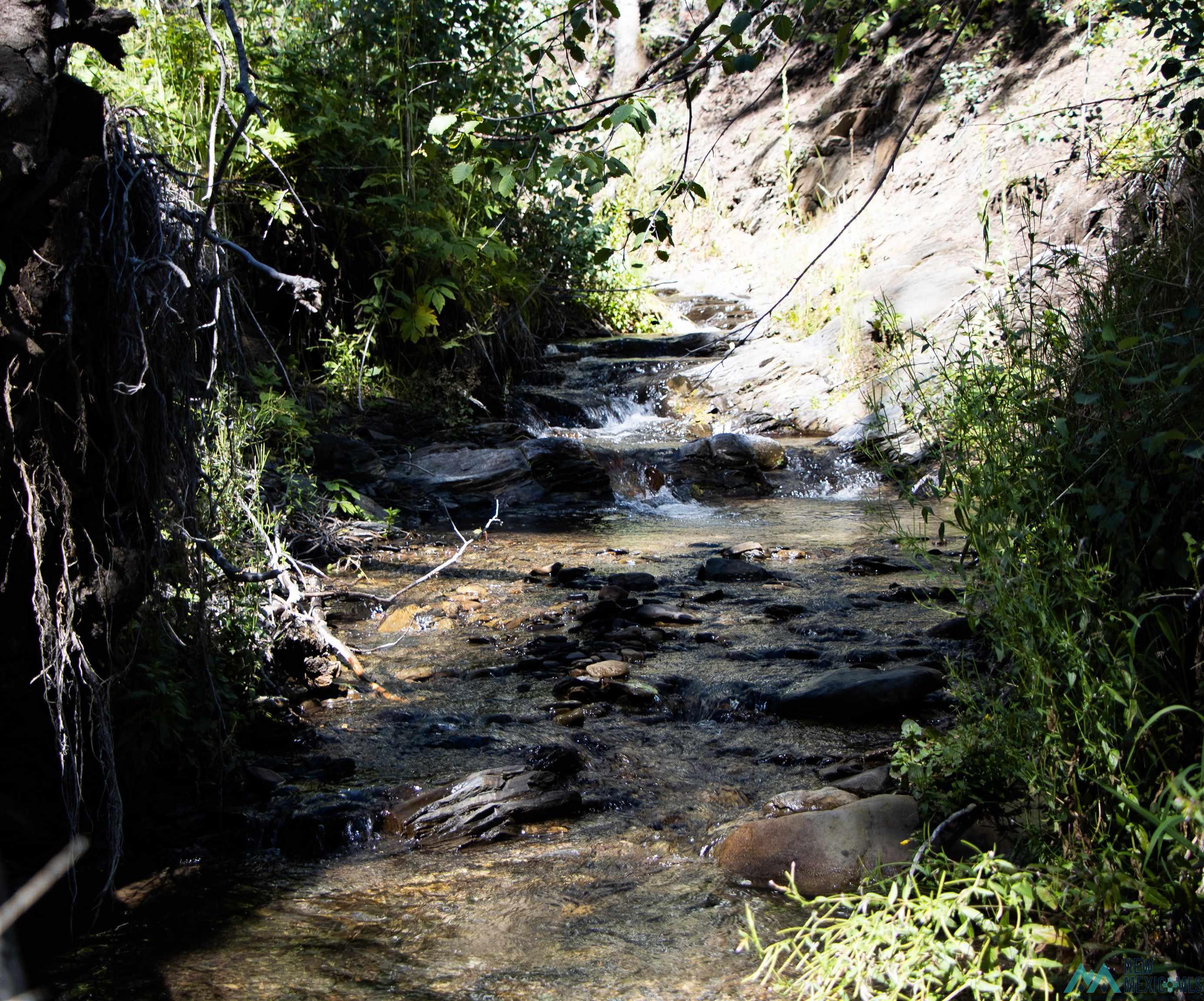 Luna Canyon Mora County, Chacon, New Mexico image 3