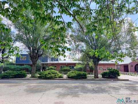 Homes For Sale - 1050 8th Street<br/> Las Vegas, NM 87701