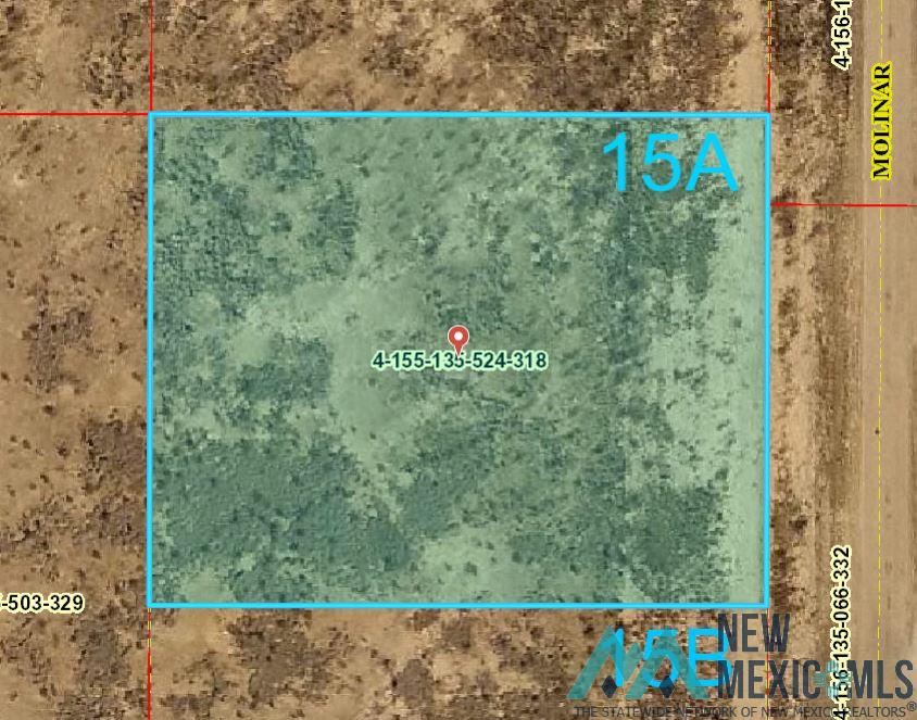 Lot 15A Molinar Road, Carlsbad, New Mexico image 9