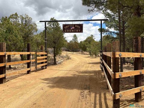 Homes For Sale - 37 Lasso Lane<br/> Pie Town, NM 87827