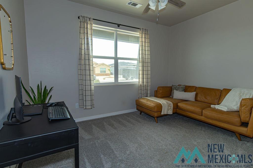 3816 Honeysuckle Drive, Carlsbad, Texas image 36