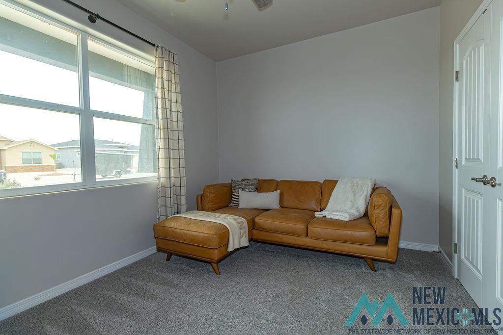 3816 Honeysuckle Drive, Carlsbad, Texas image 37