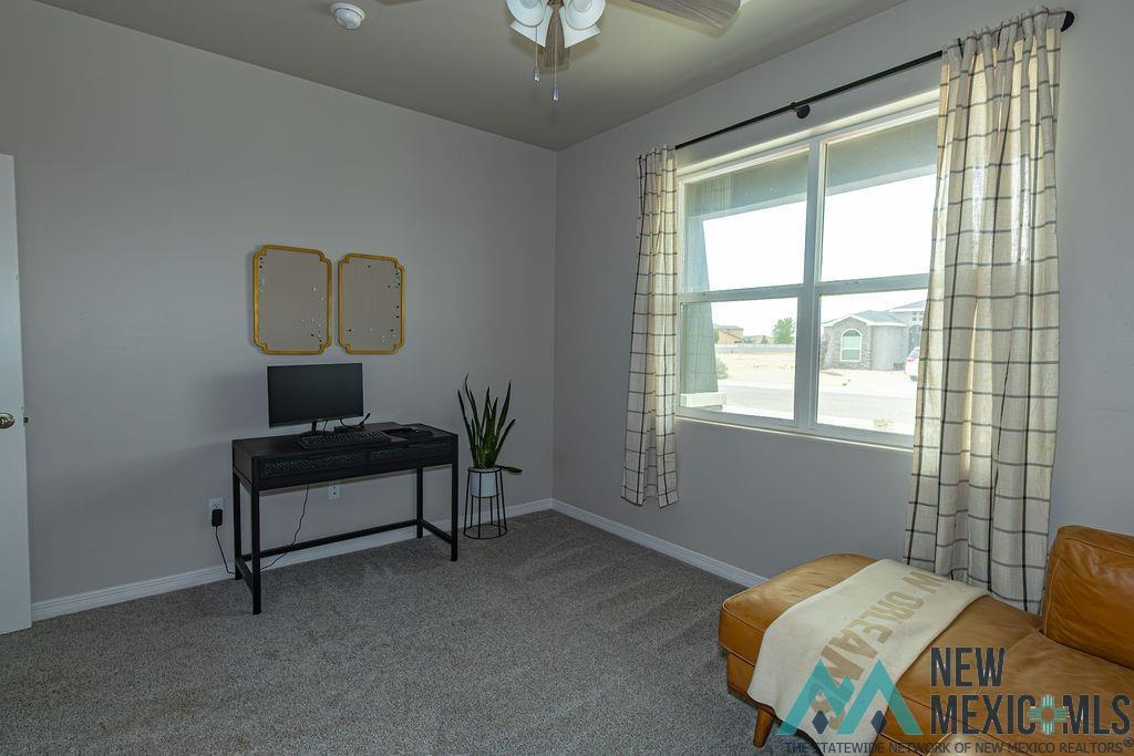 3816 Honeysuckle Drive, Carlsbad, Texas image 38