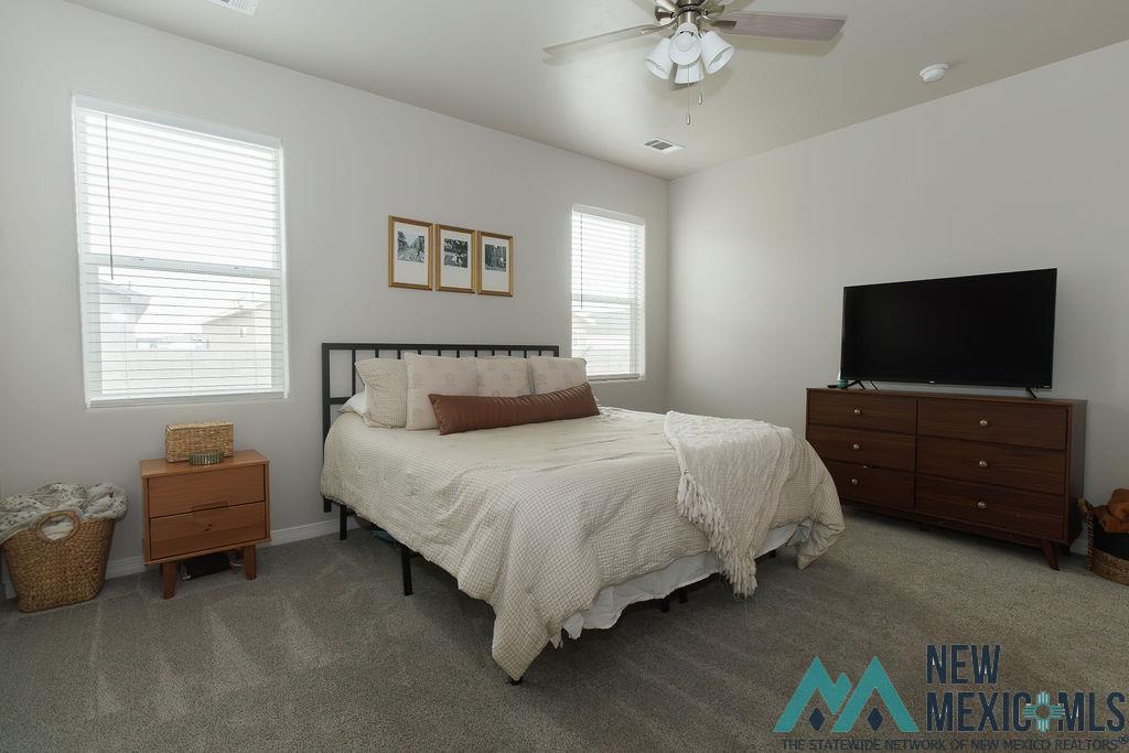 3816 Honeysuckle Drive, Carlsbad, Texas image 14