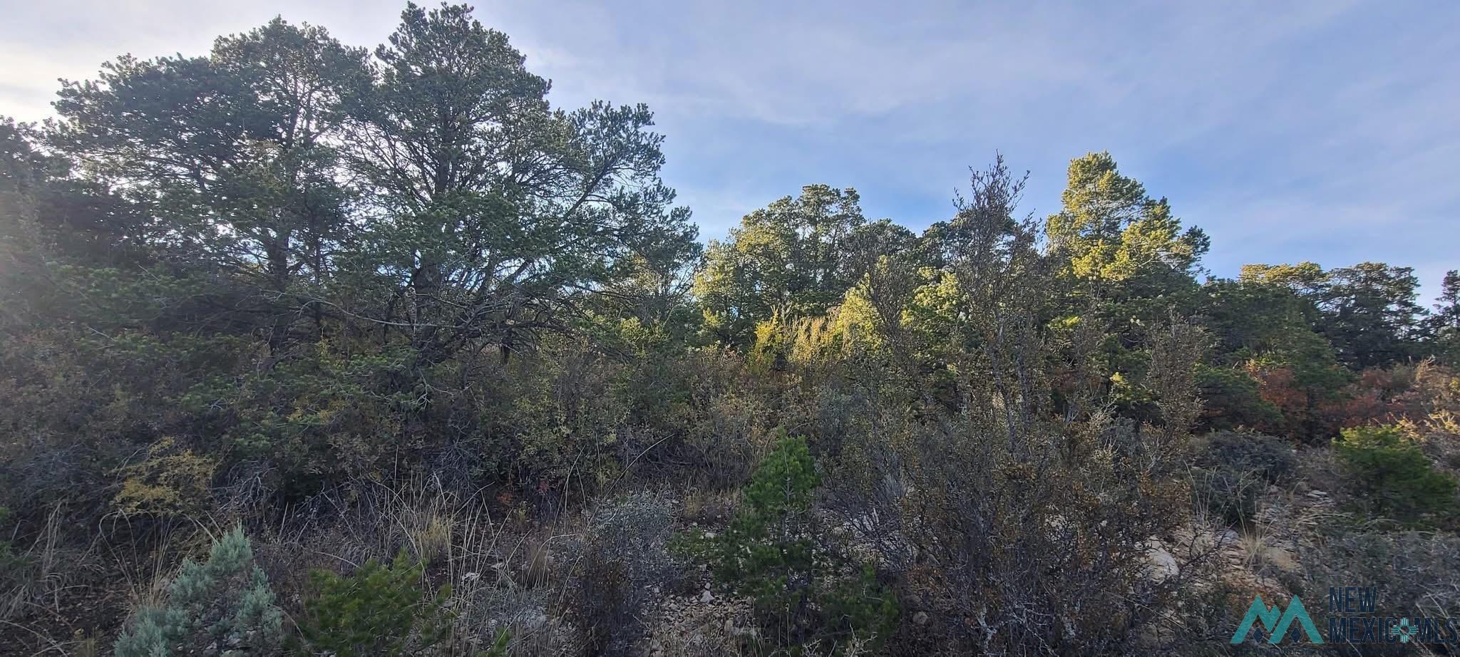 Lot 7 Bellwood Court, Timberon, Texas image 1