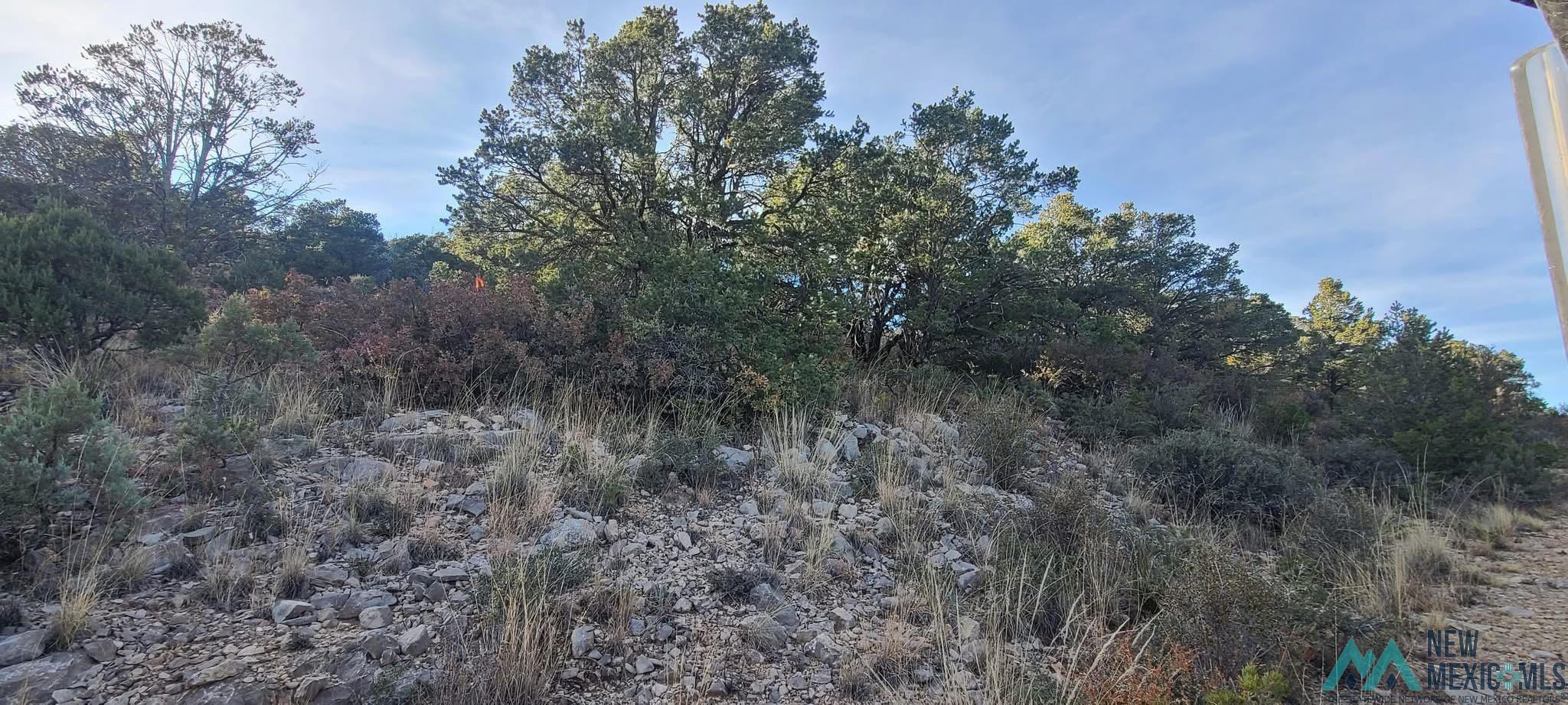 Lot 7 Bellwood Court, Timberon, Texas image 6