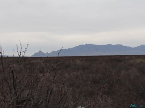 Vacant Land For Sale - 000 SW Candela Road<br/> Deming, NM 88030