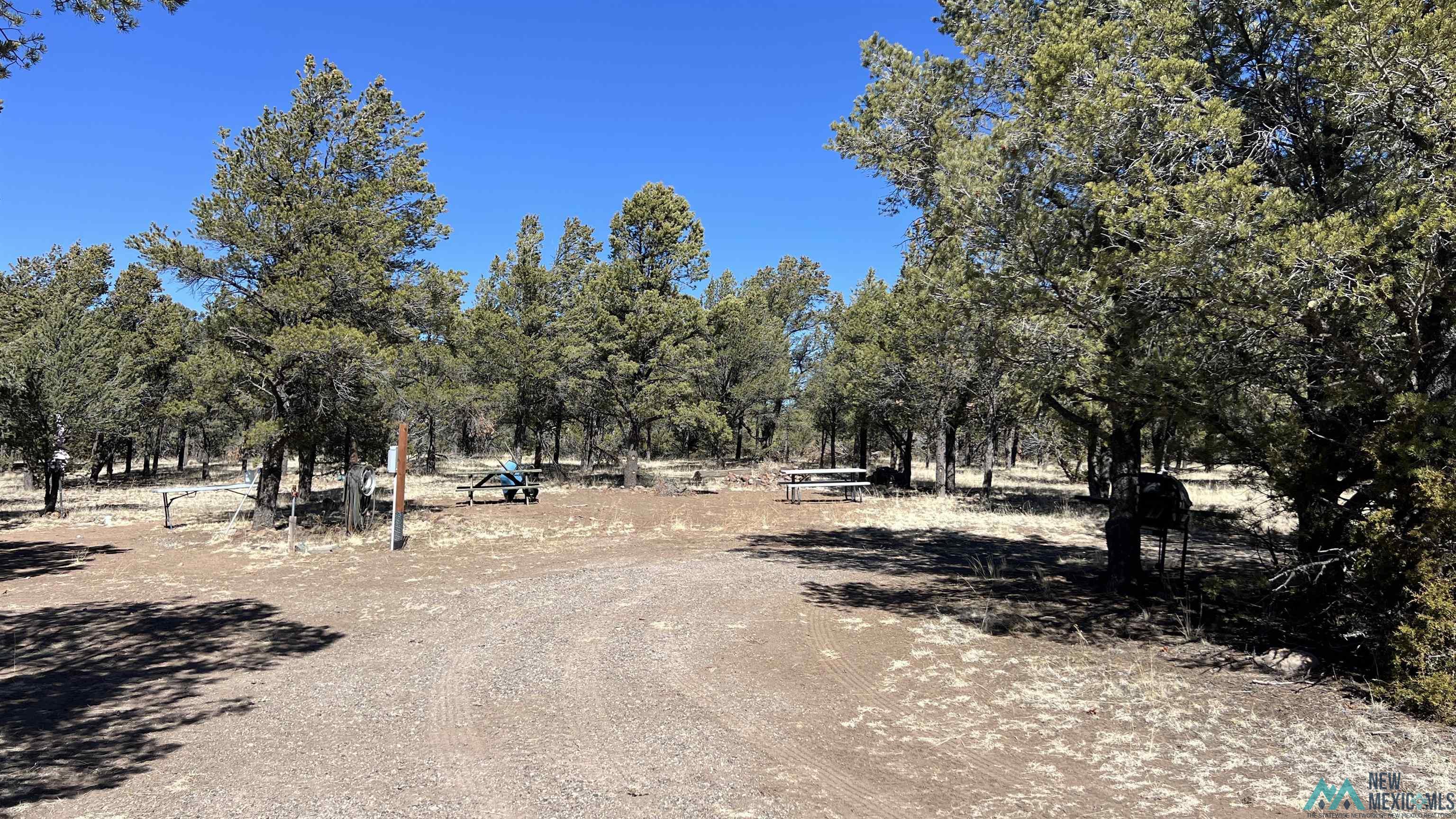 17 Gila Road, Quemado, New Mexico image 3