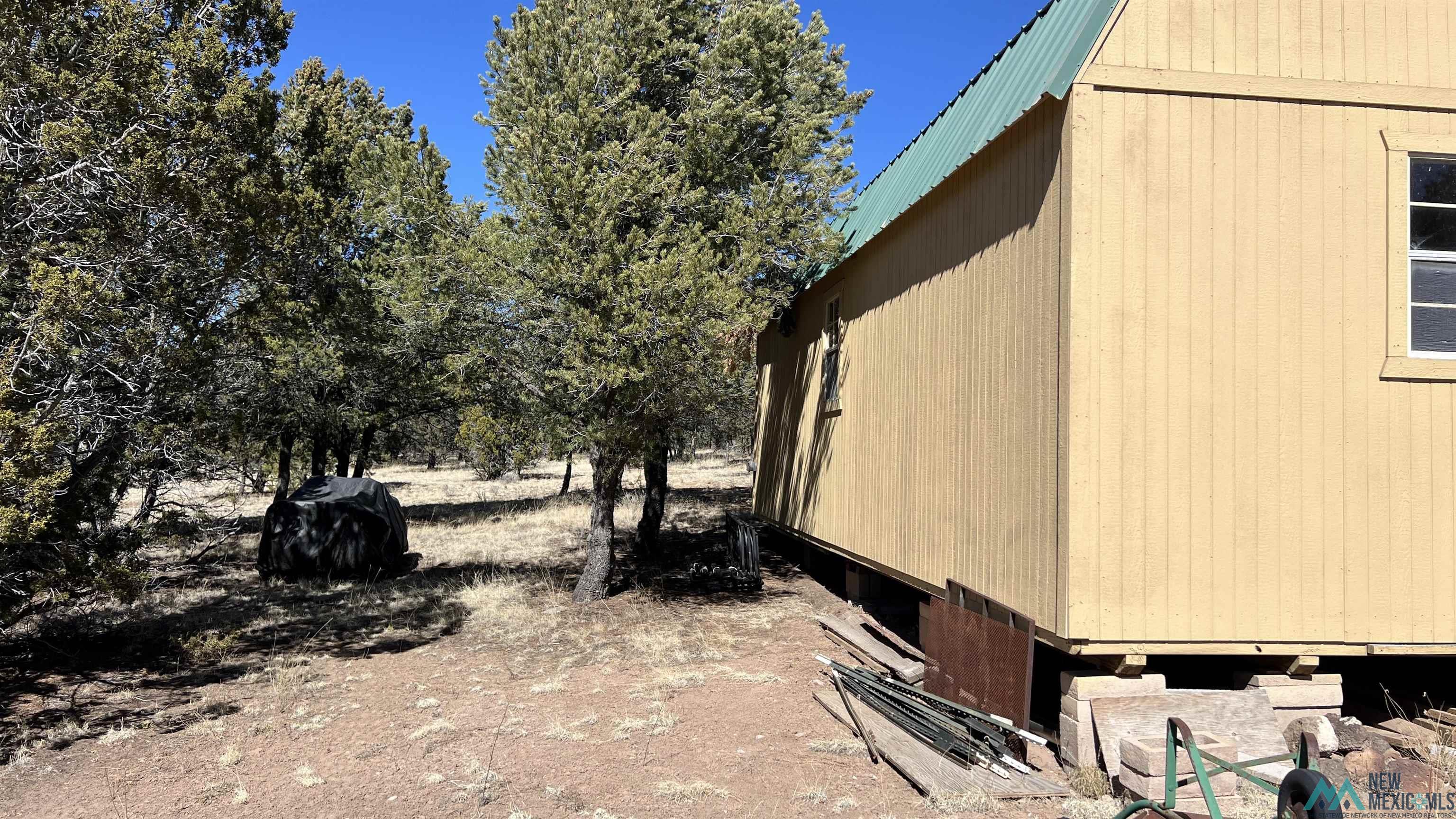 17 Gila Road, Quemado, New Mexico image 4